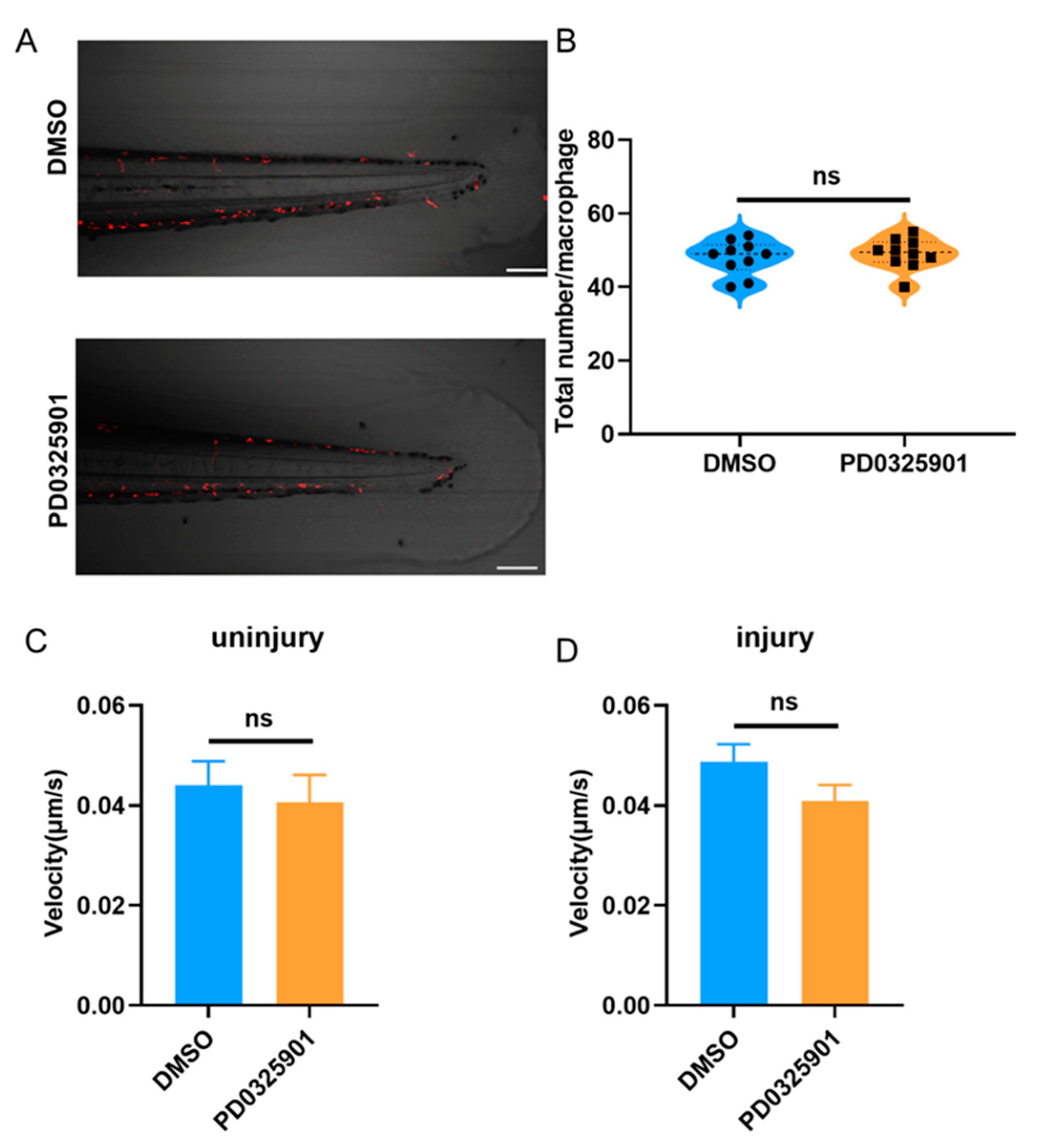 Preprints 72667 g008