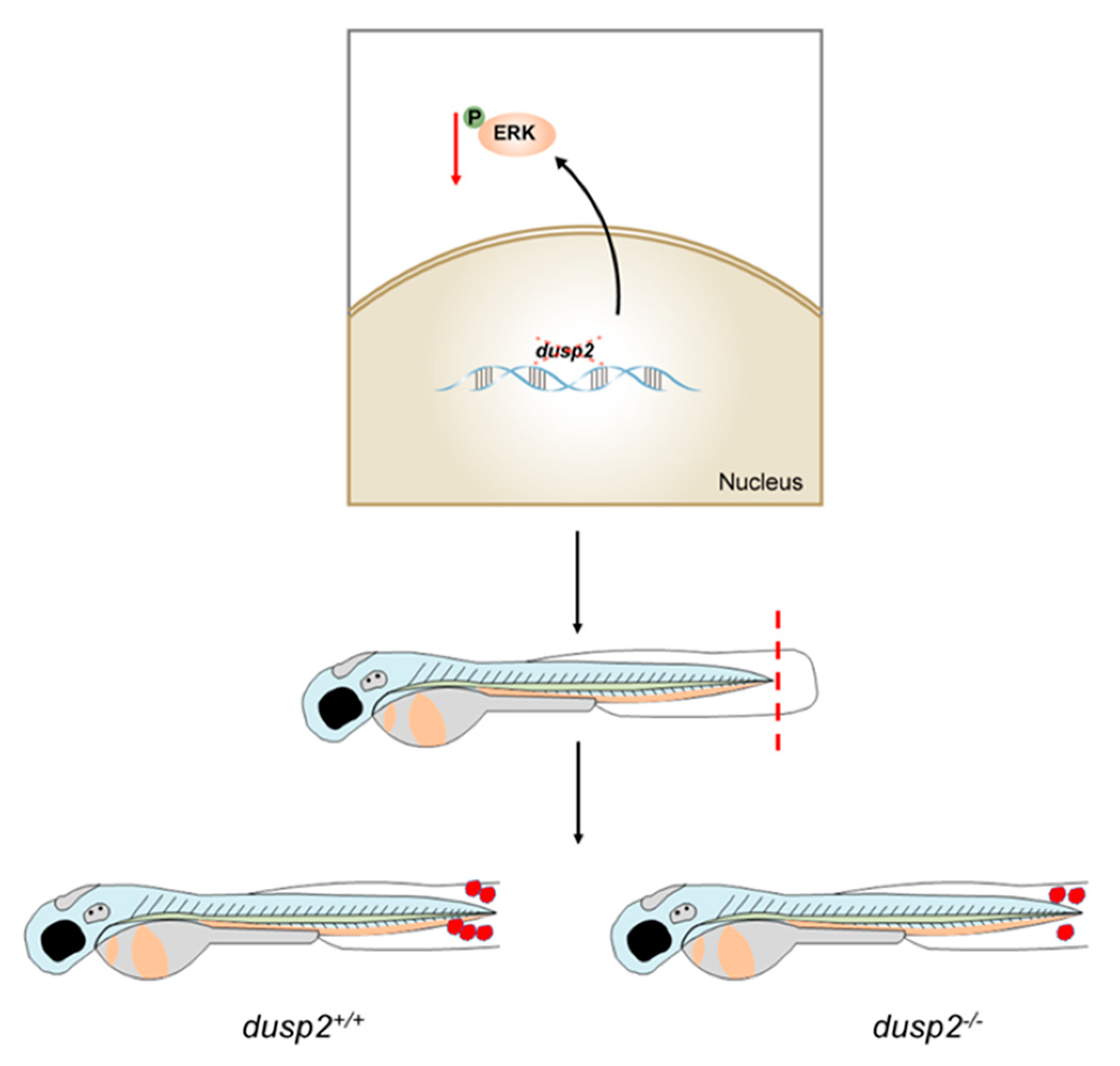 Preprints 72667 g009