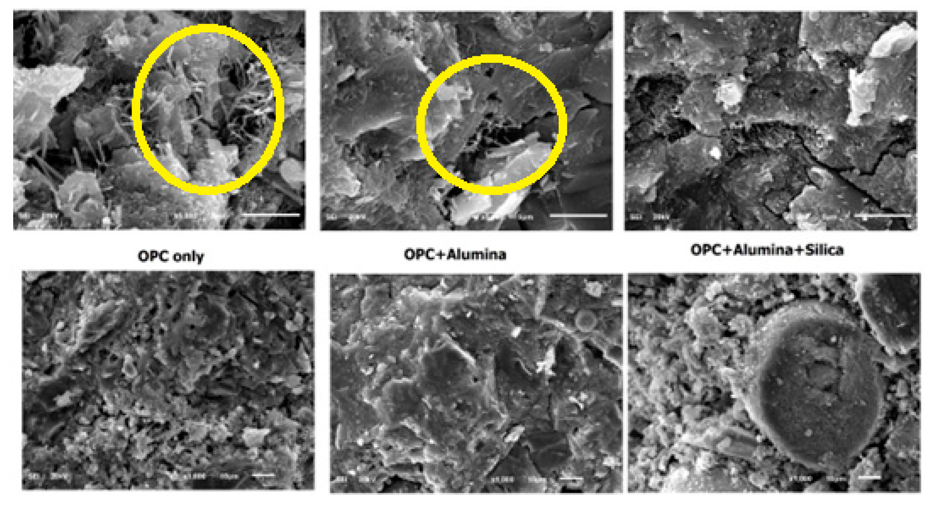 Preprints 86063 g008