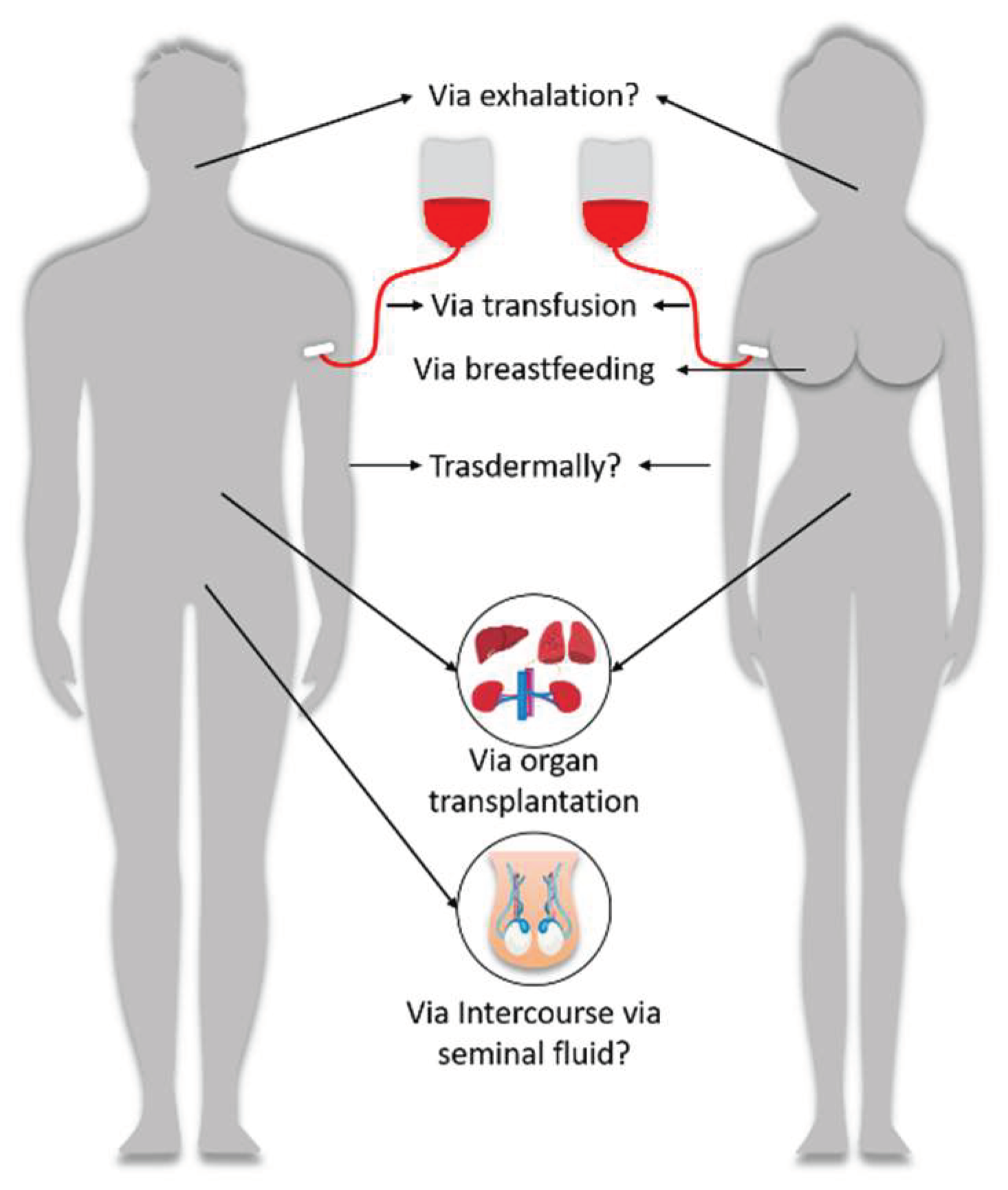 Preprints 99567 g003