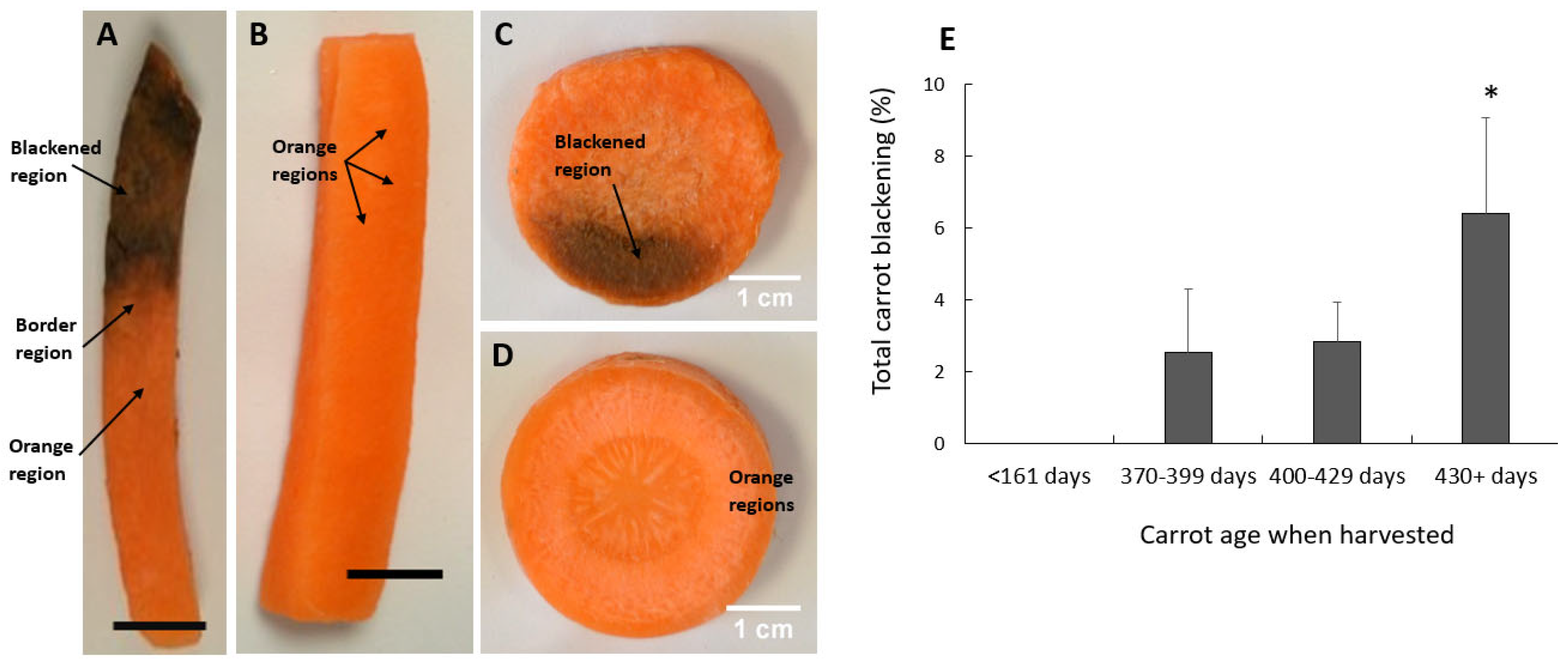 Preprints 75716 g001