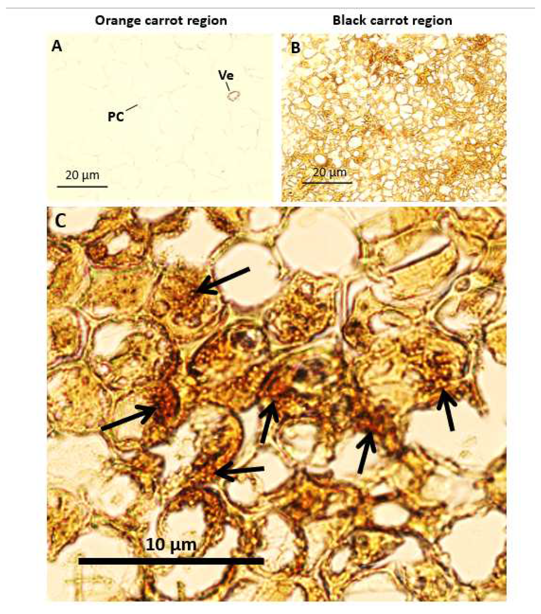 Preprints 75716 g002