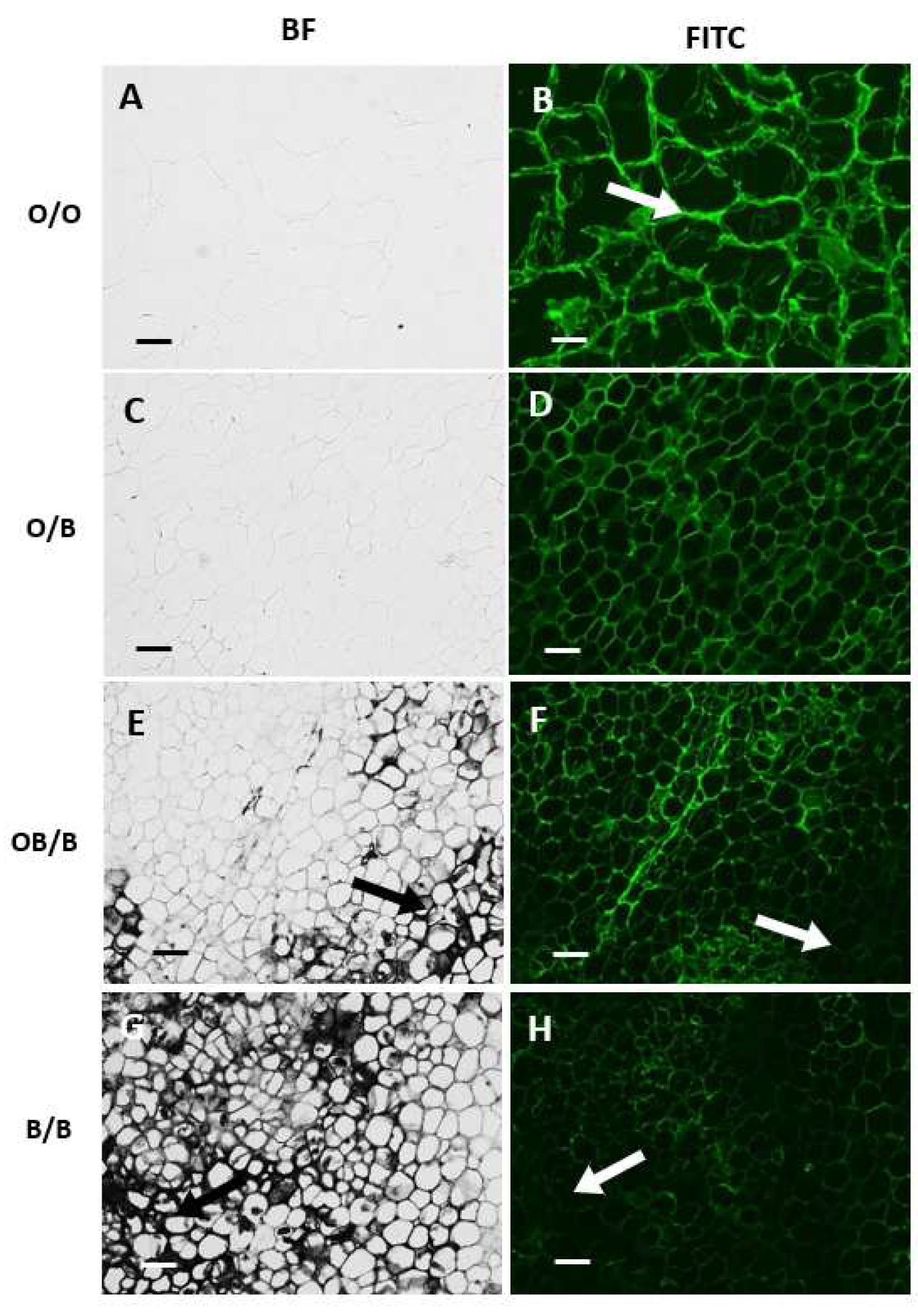 Preprints 75716 g003