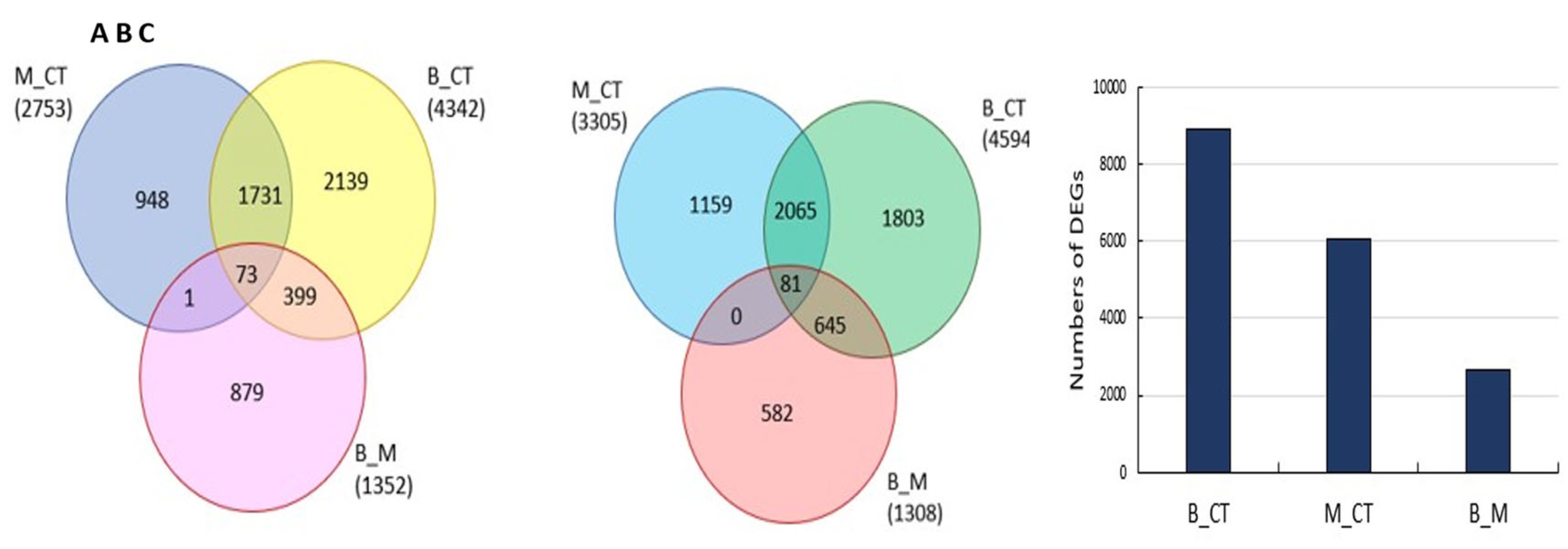 Preprints 75716 g006