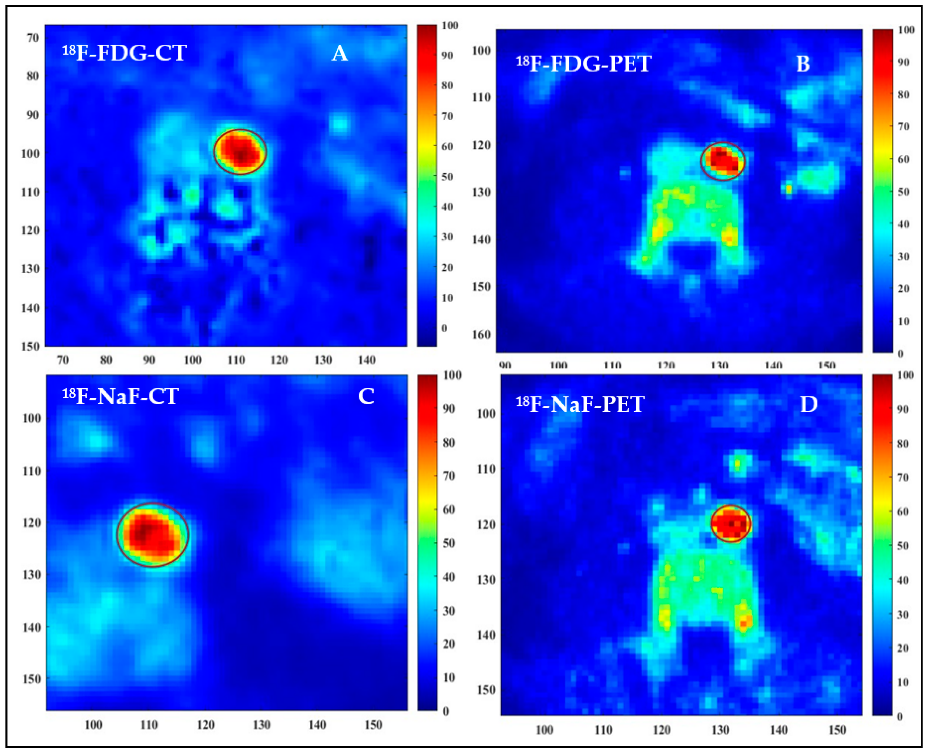 Preprints 95404 g003