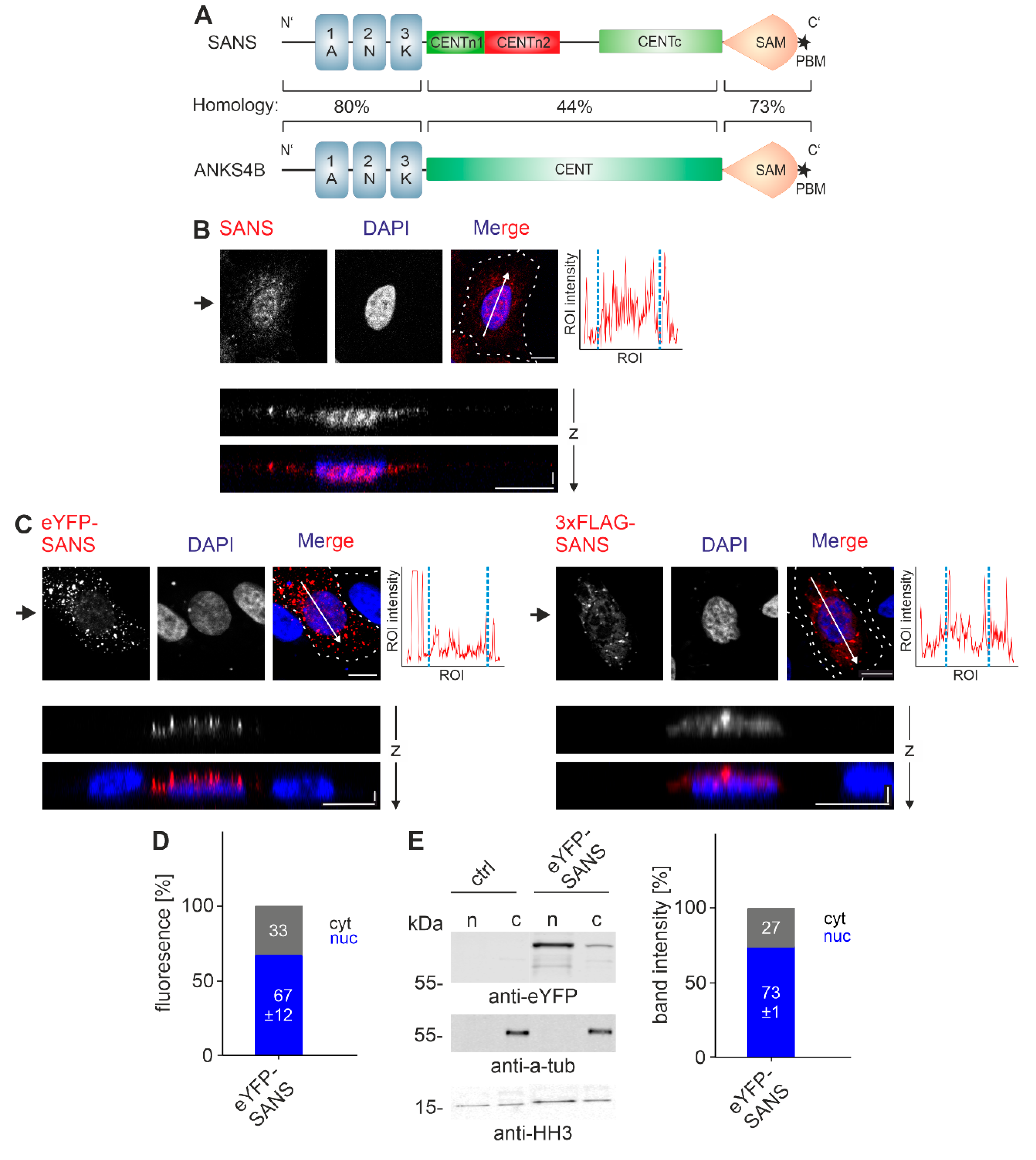 Preprints 113650 g001