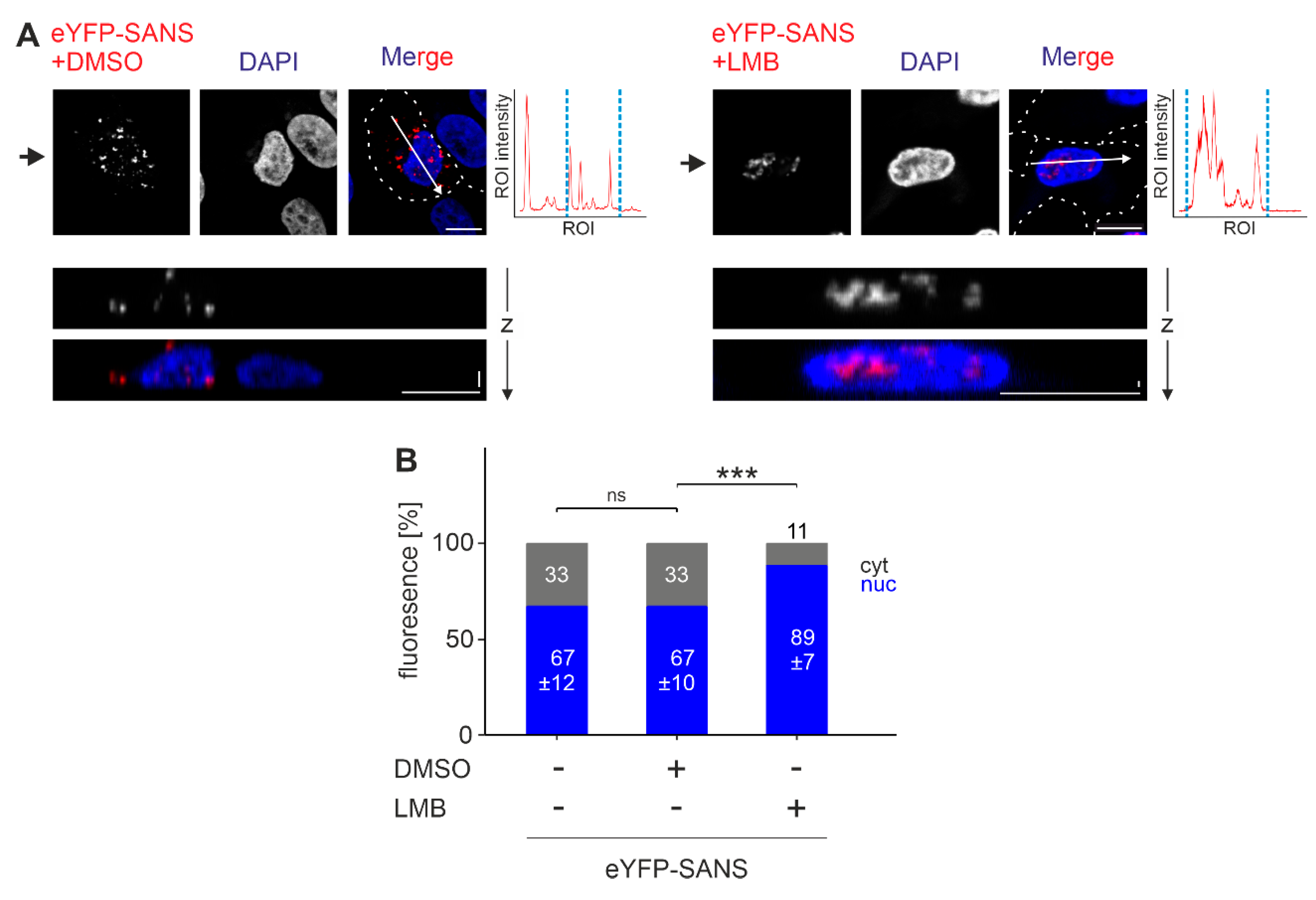 Preprints 113650 g002