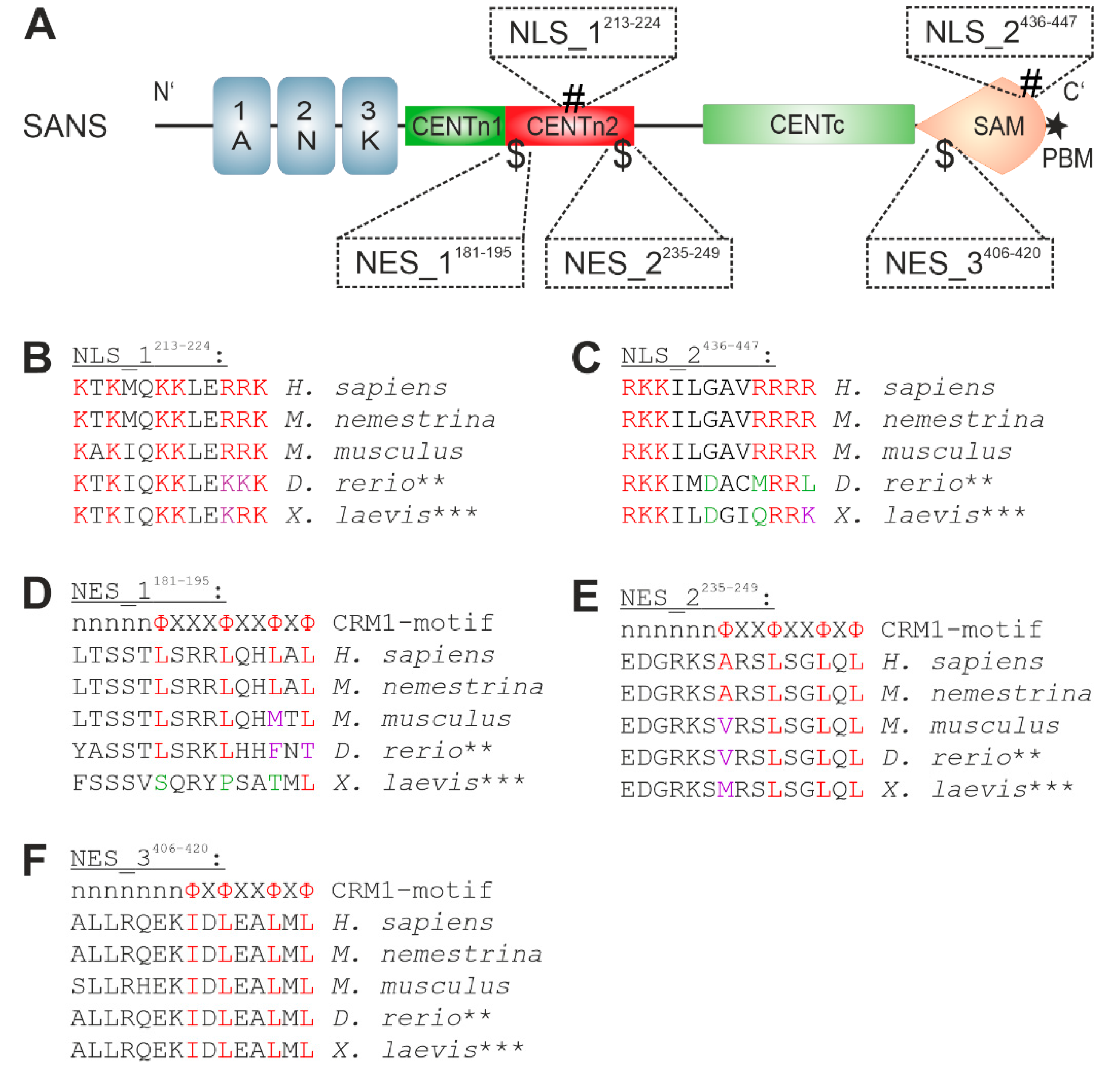 Preprints 113650 g003