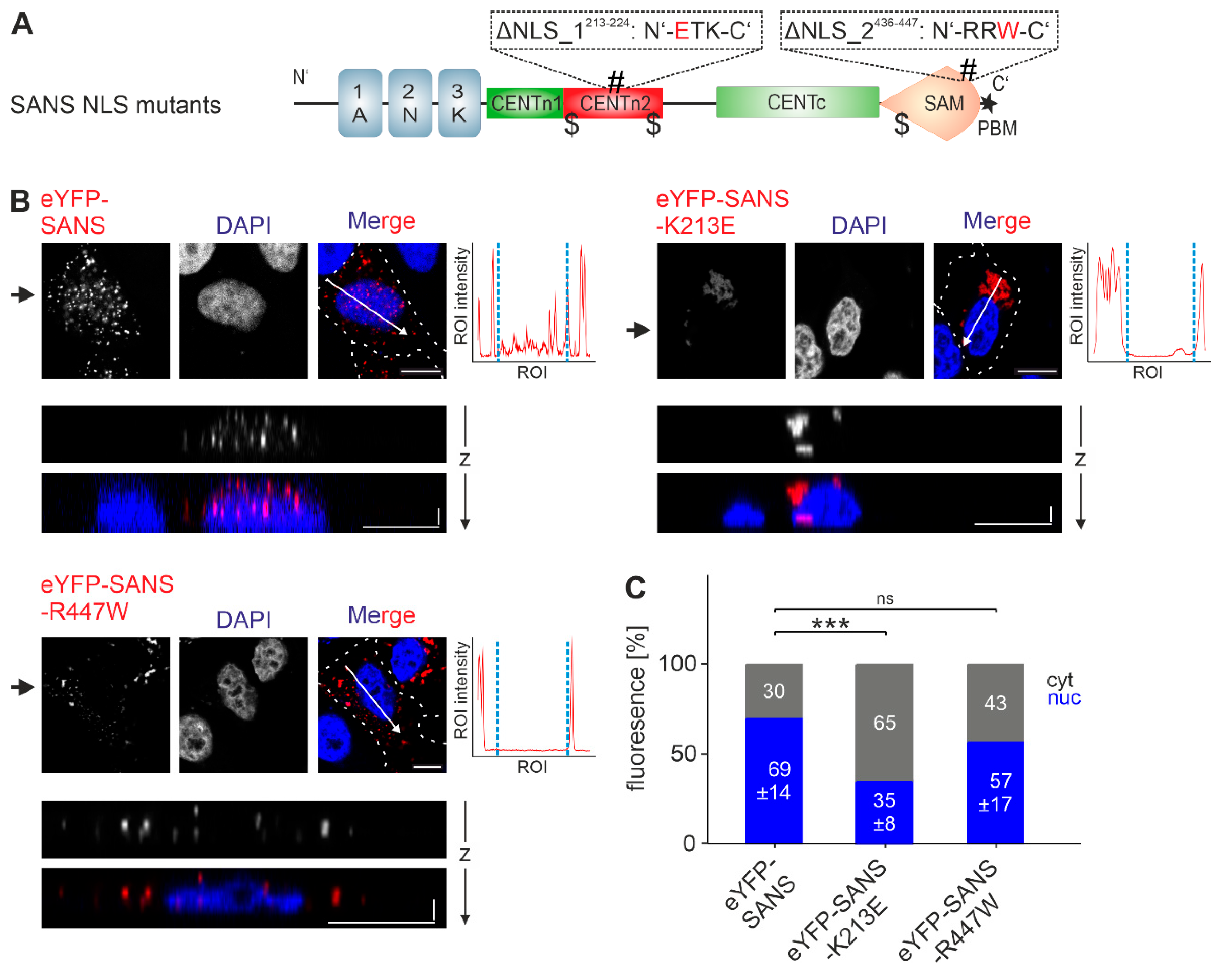 Preprints 113650 g004