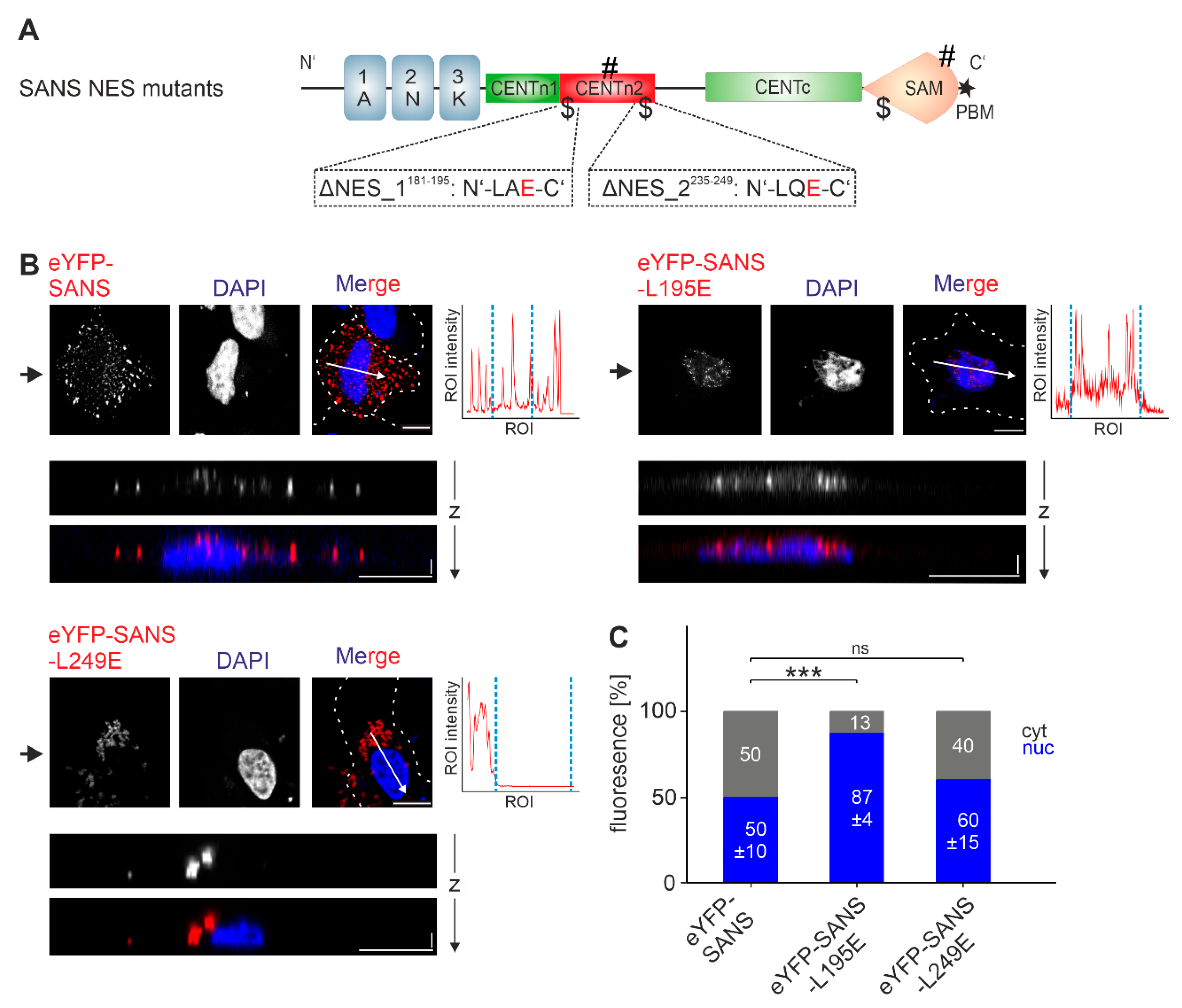 Preprints 113650 g005