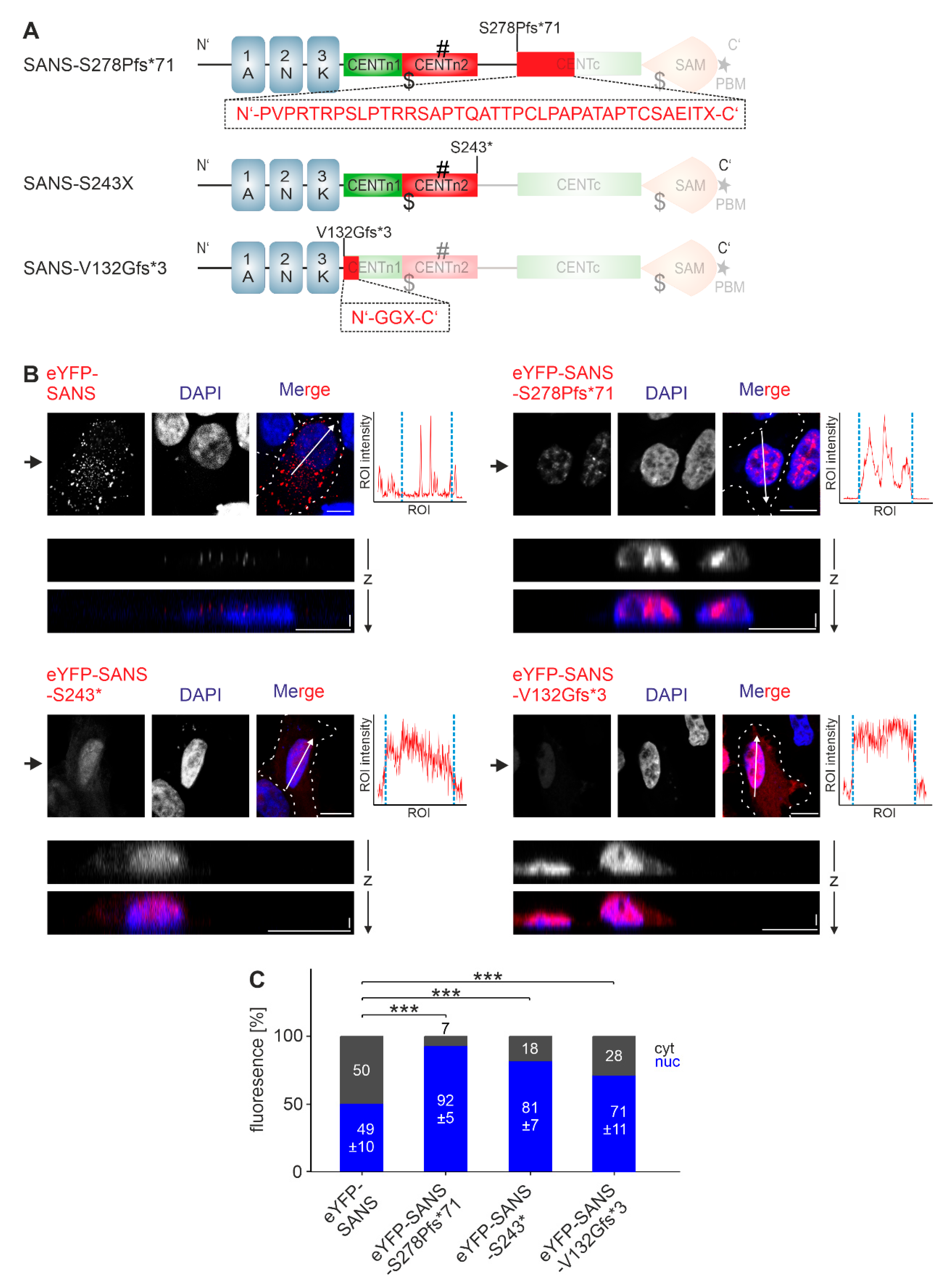 Preprints 113650 g006