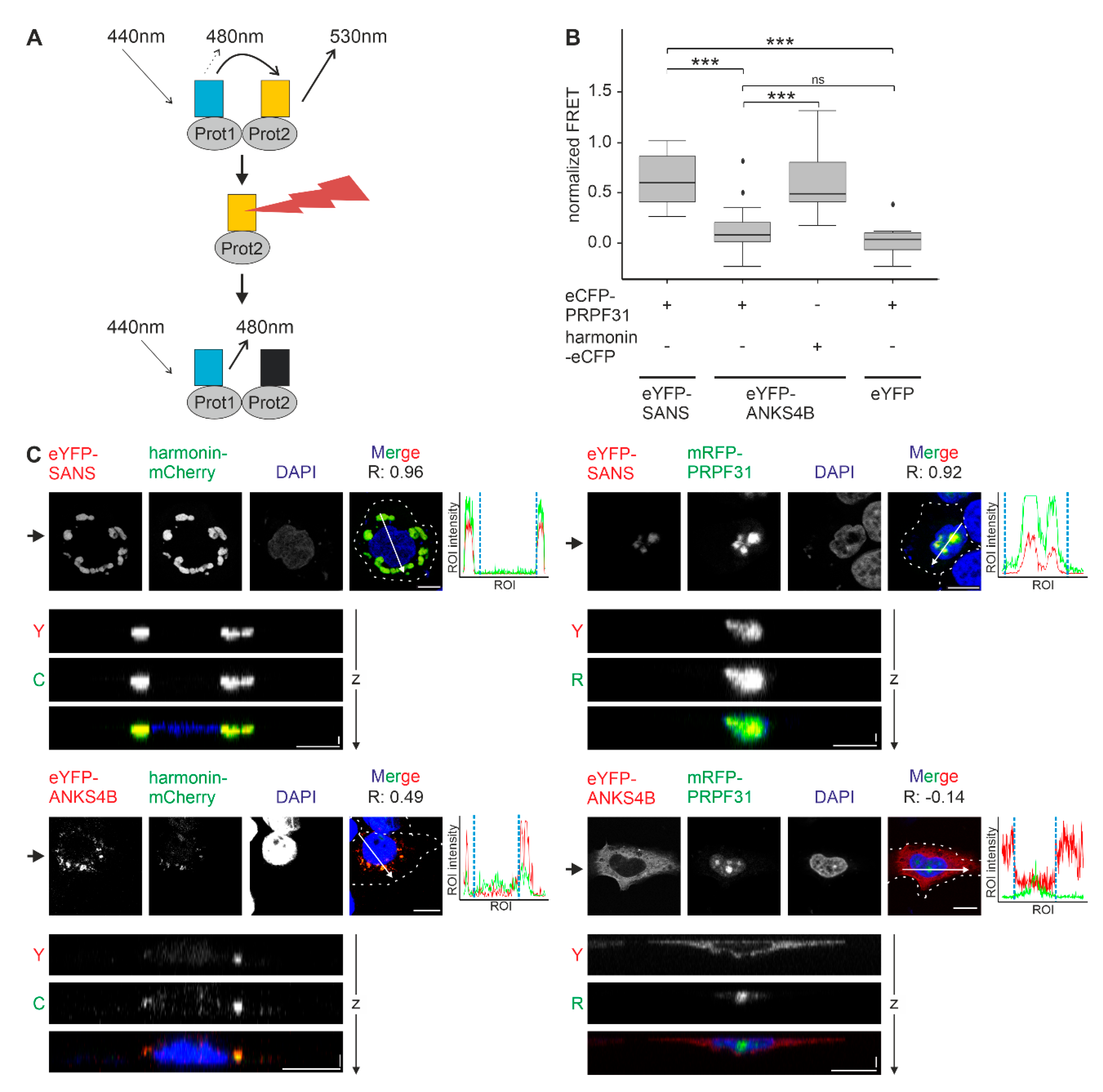 Preprints 113650 g008