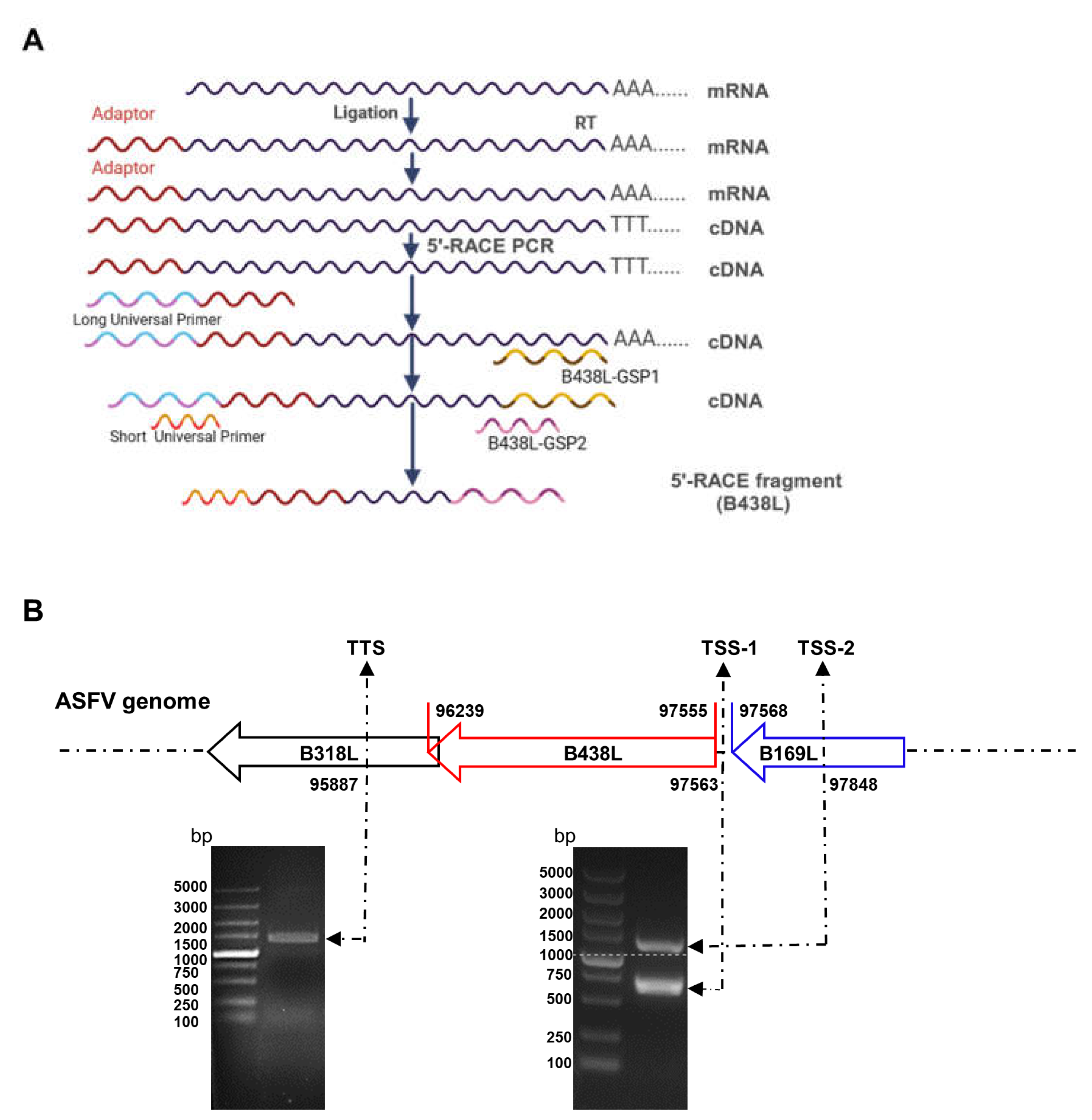 Preprints 105532 g001