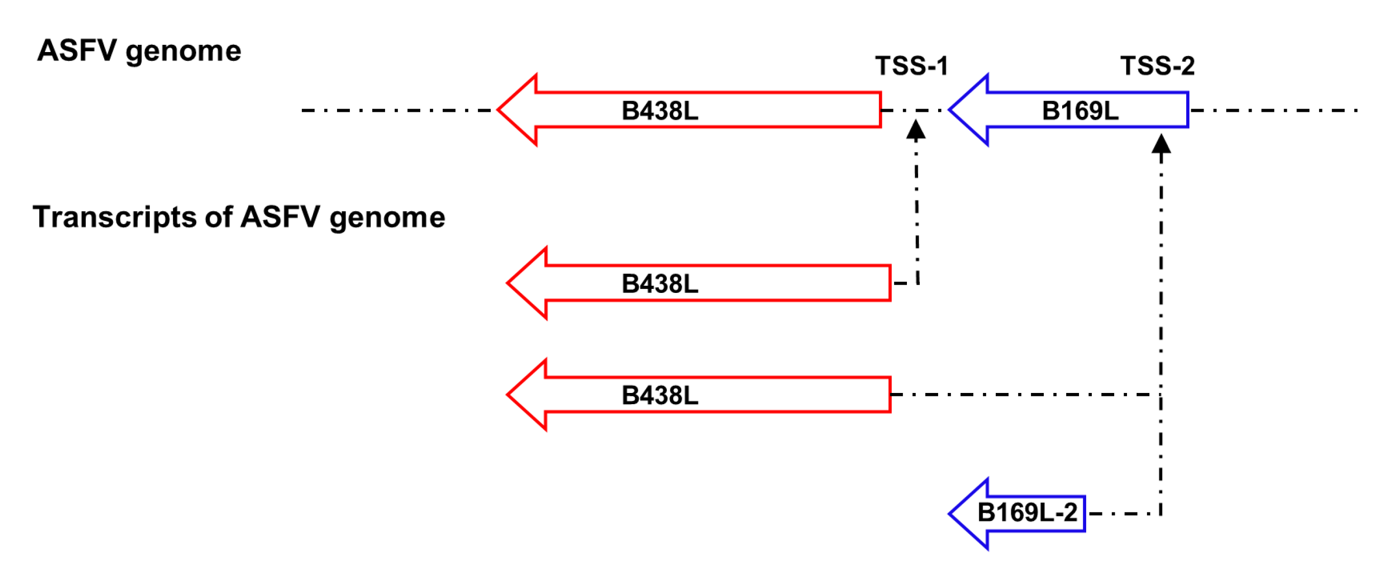 Preprints 105532 g005