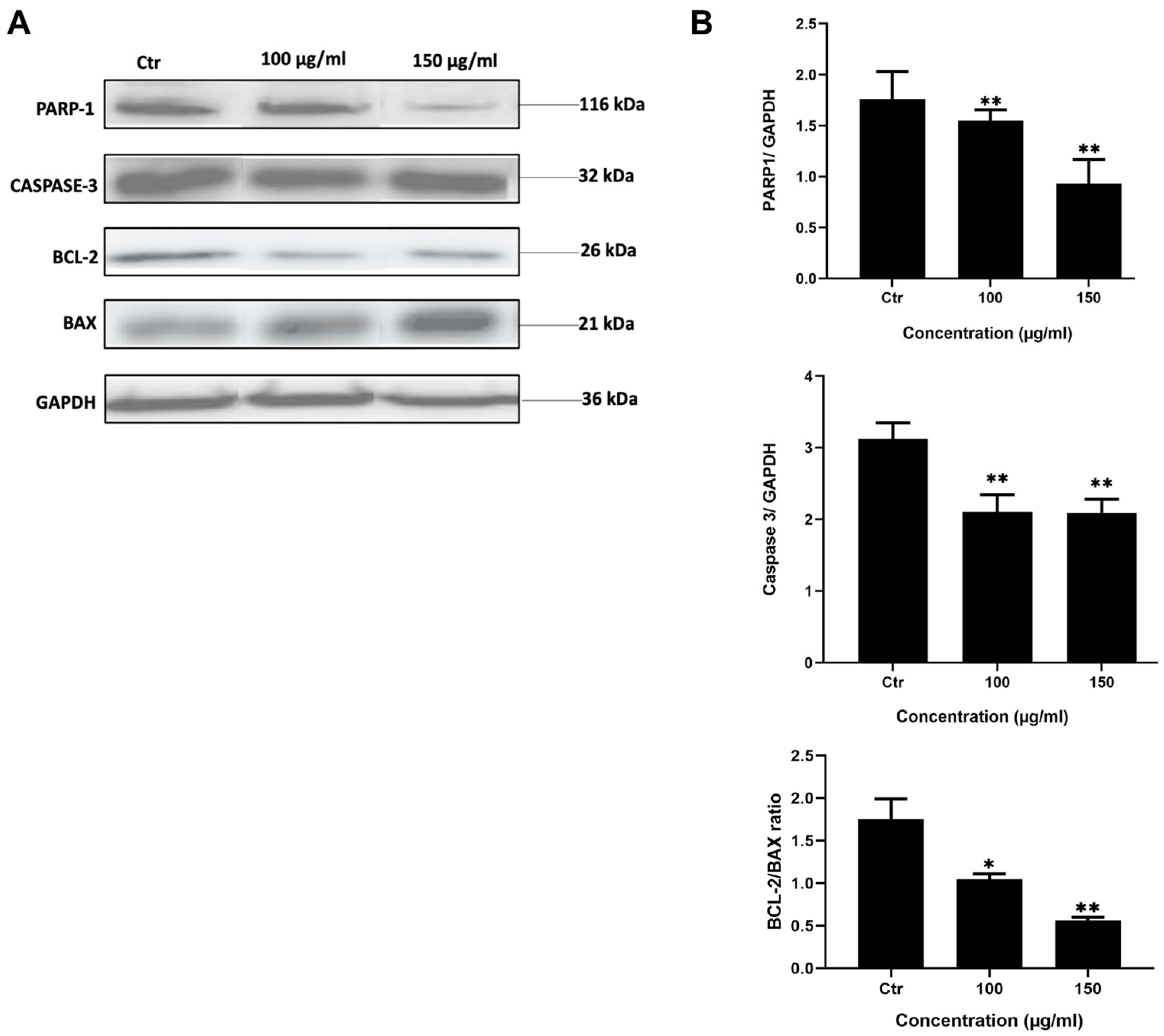 Preprints 85319 g003