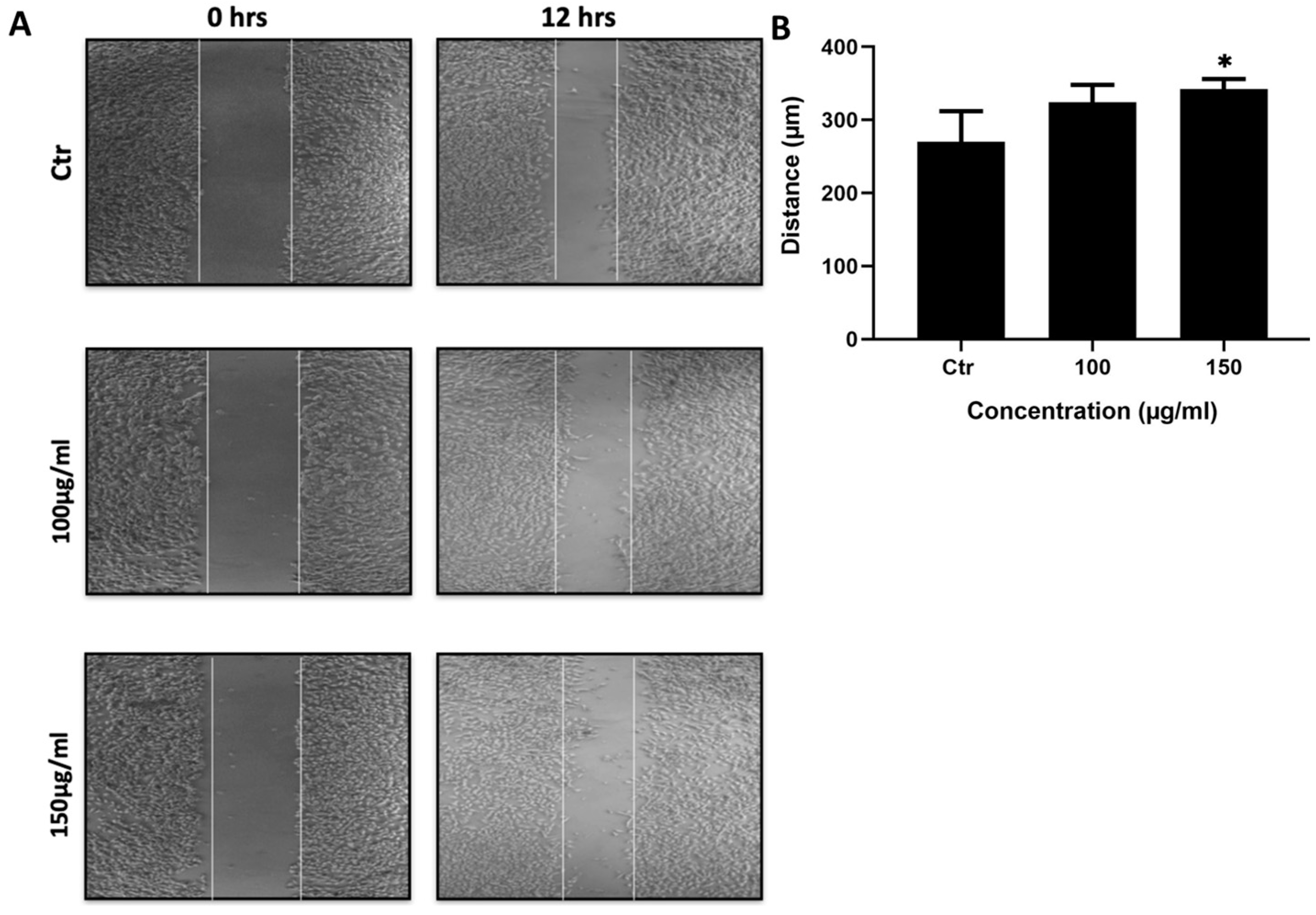 Preprints 85319 g004