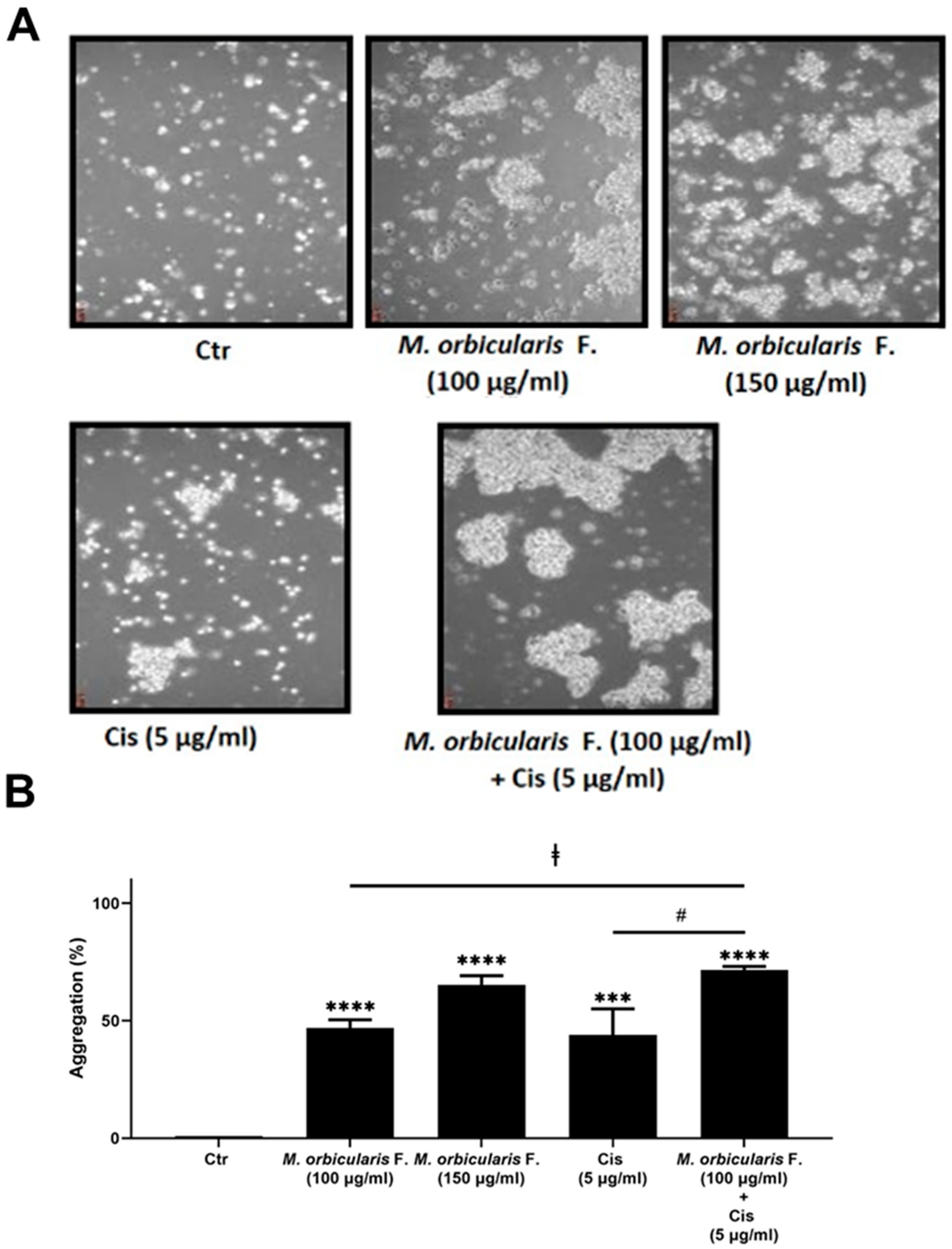 Preprints 85319 g007