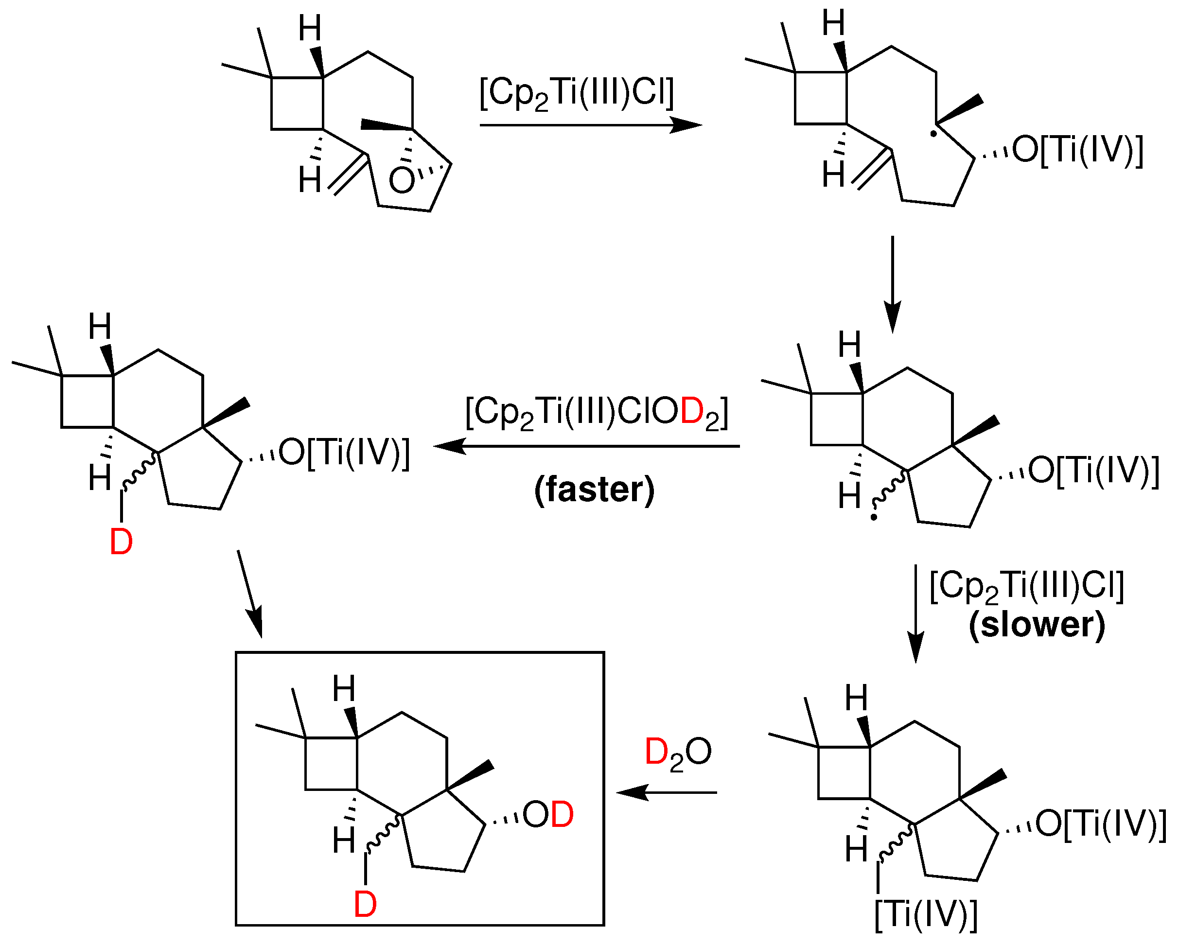 Preprints 93920 g022