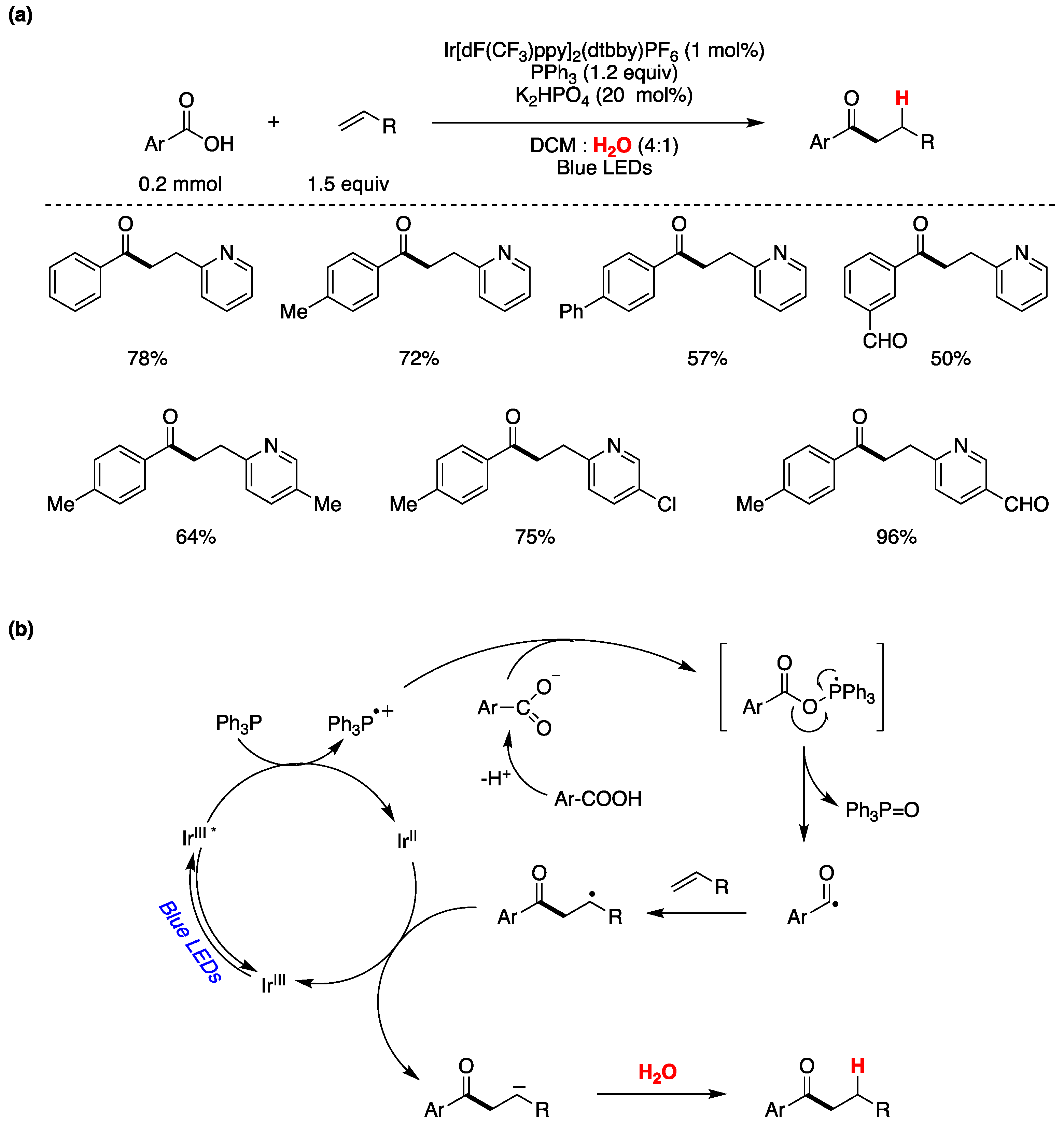 Preprints 93920 g031