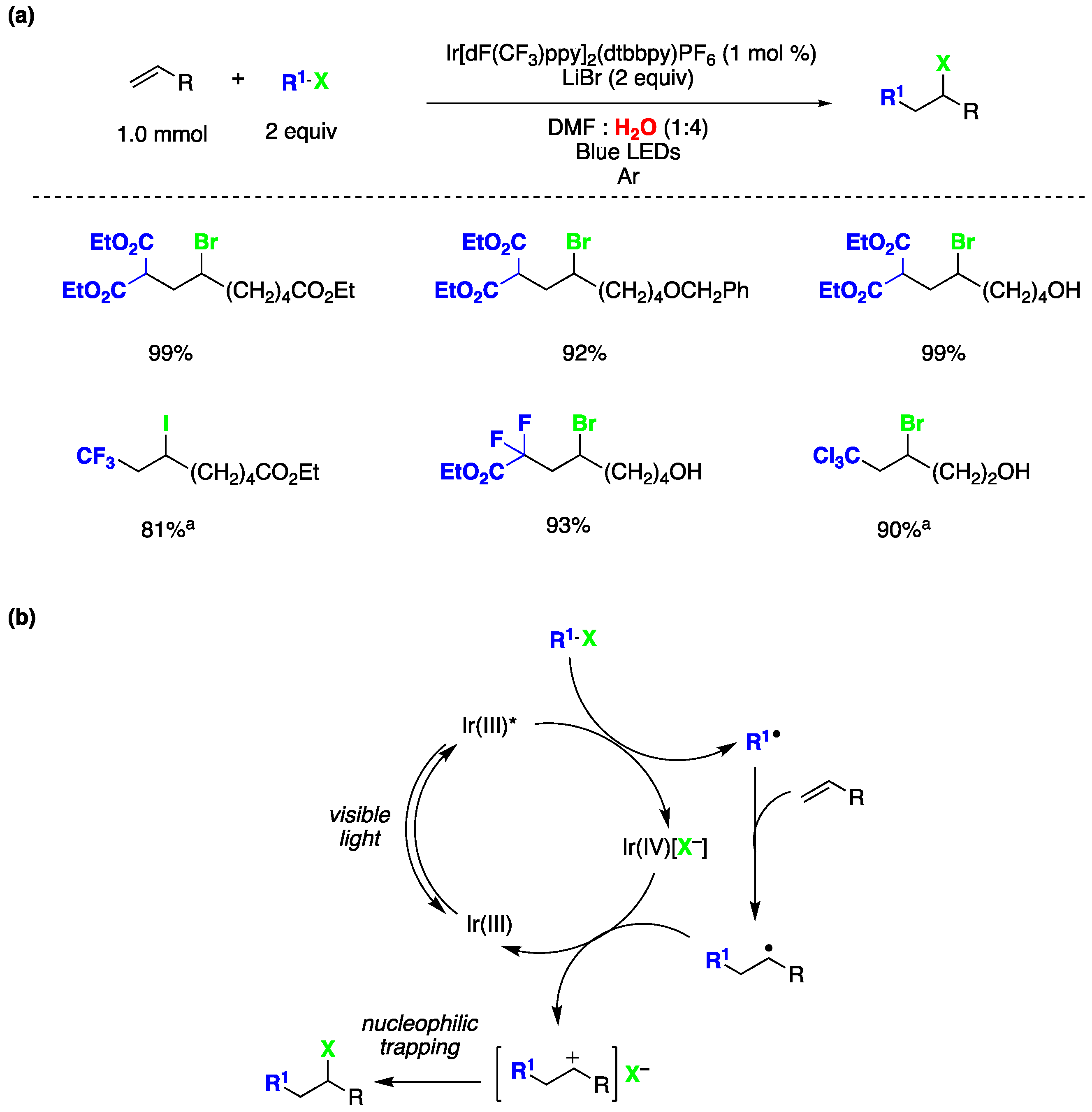 Preprints 93920 g032