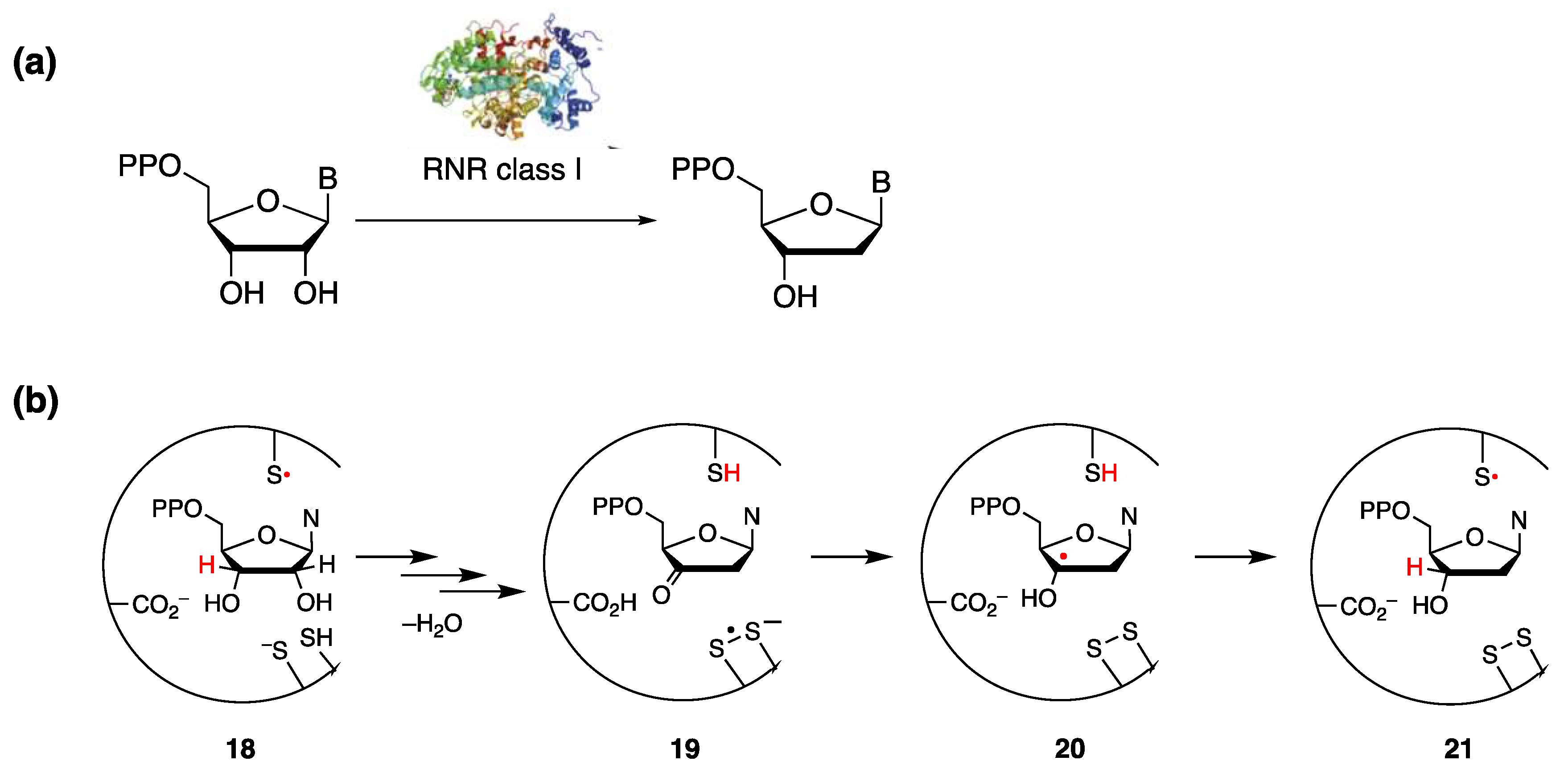 Preprints 93920 g044