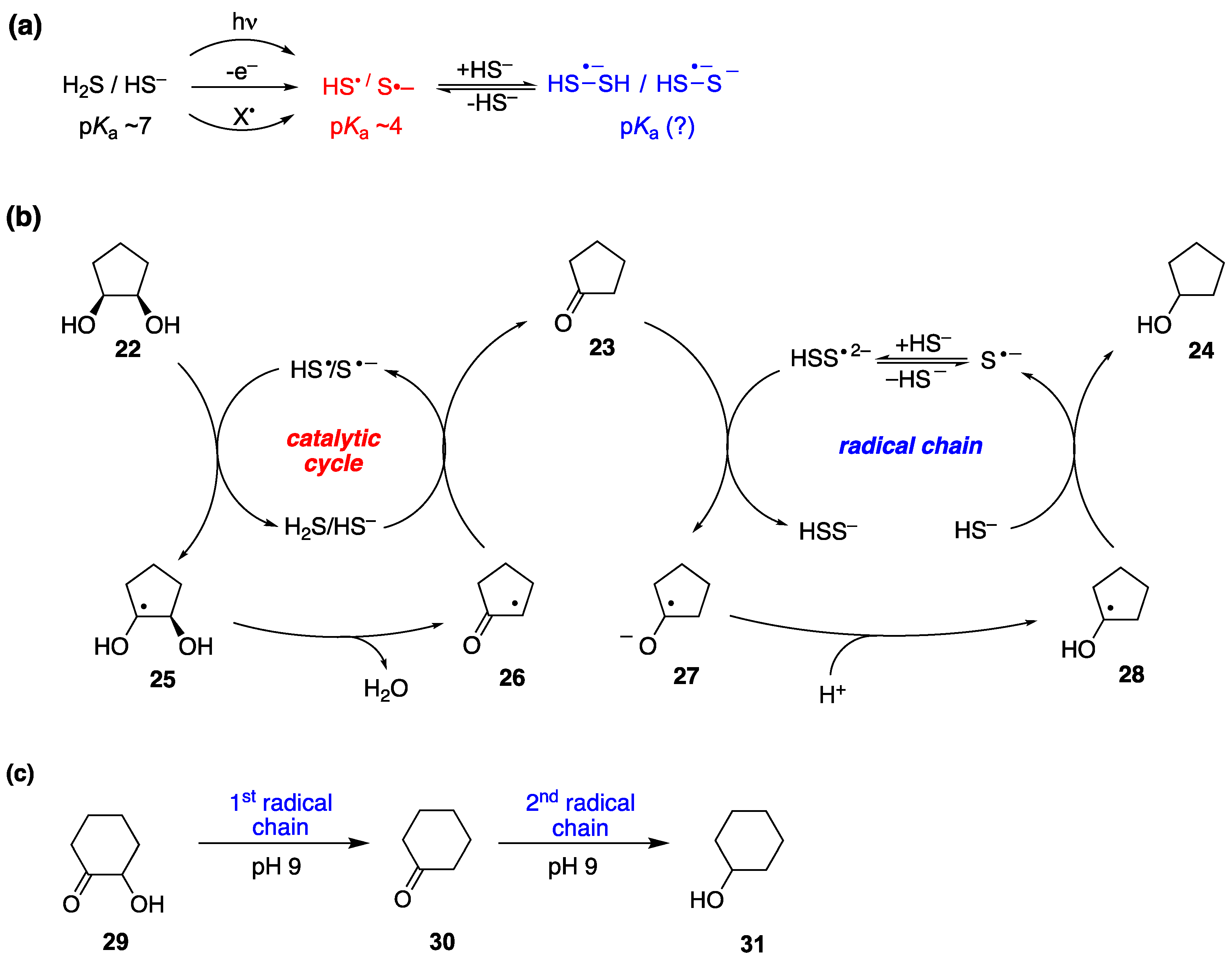 Preprints 93920 g045