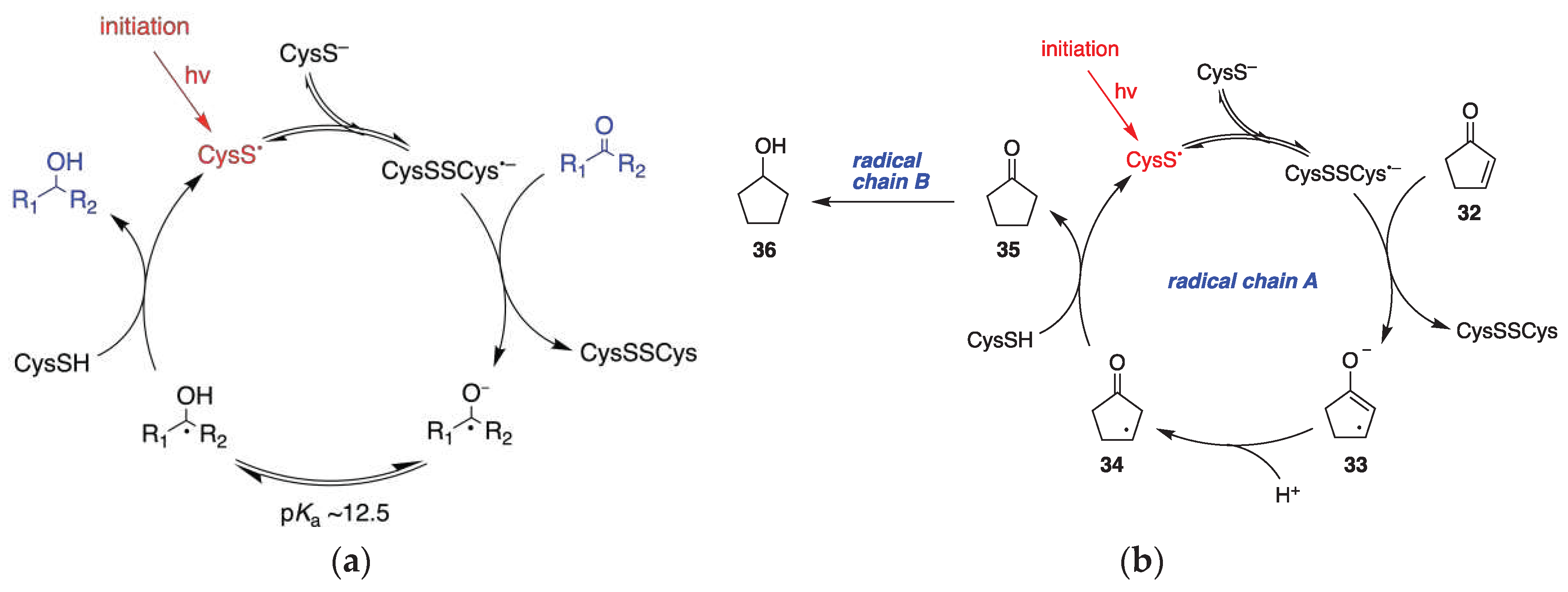 Preprints 93920 g046