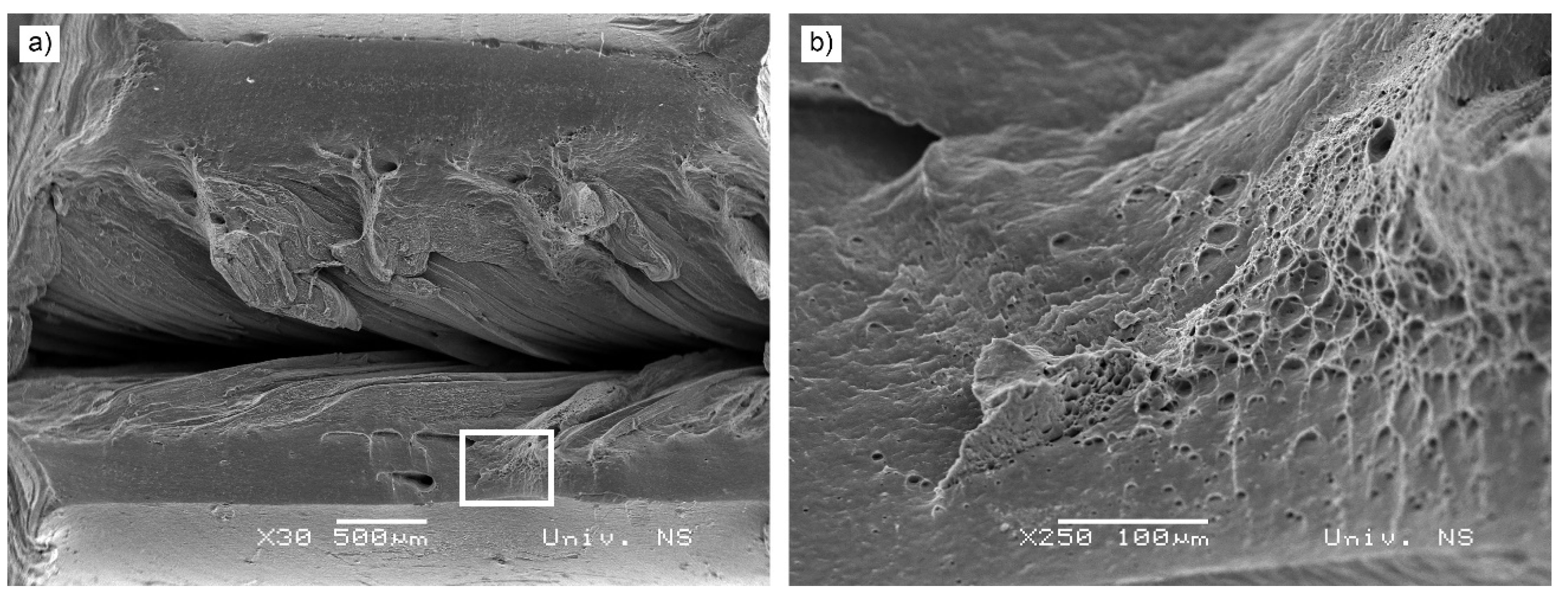 Preprints 74085 g011