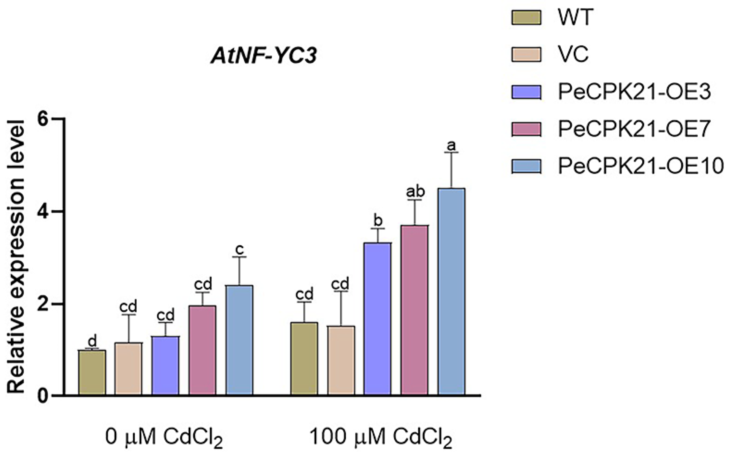 Preprints 105376 g001