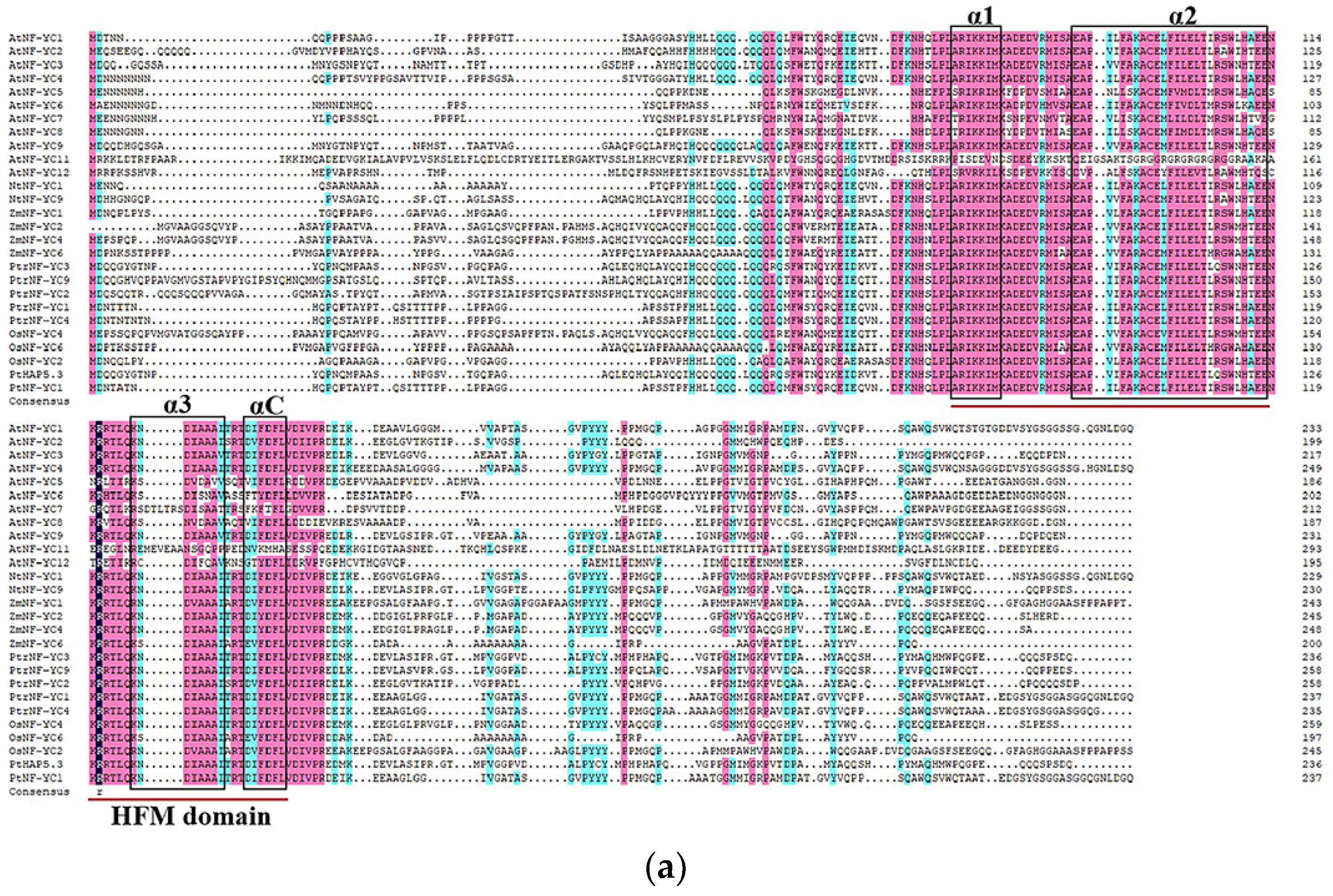 Preprints 105376 g002a