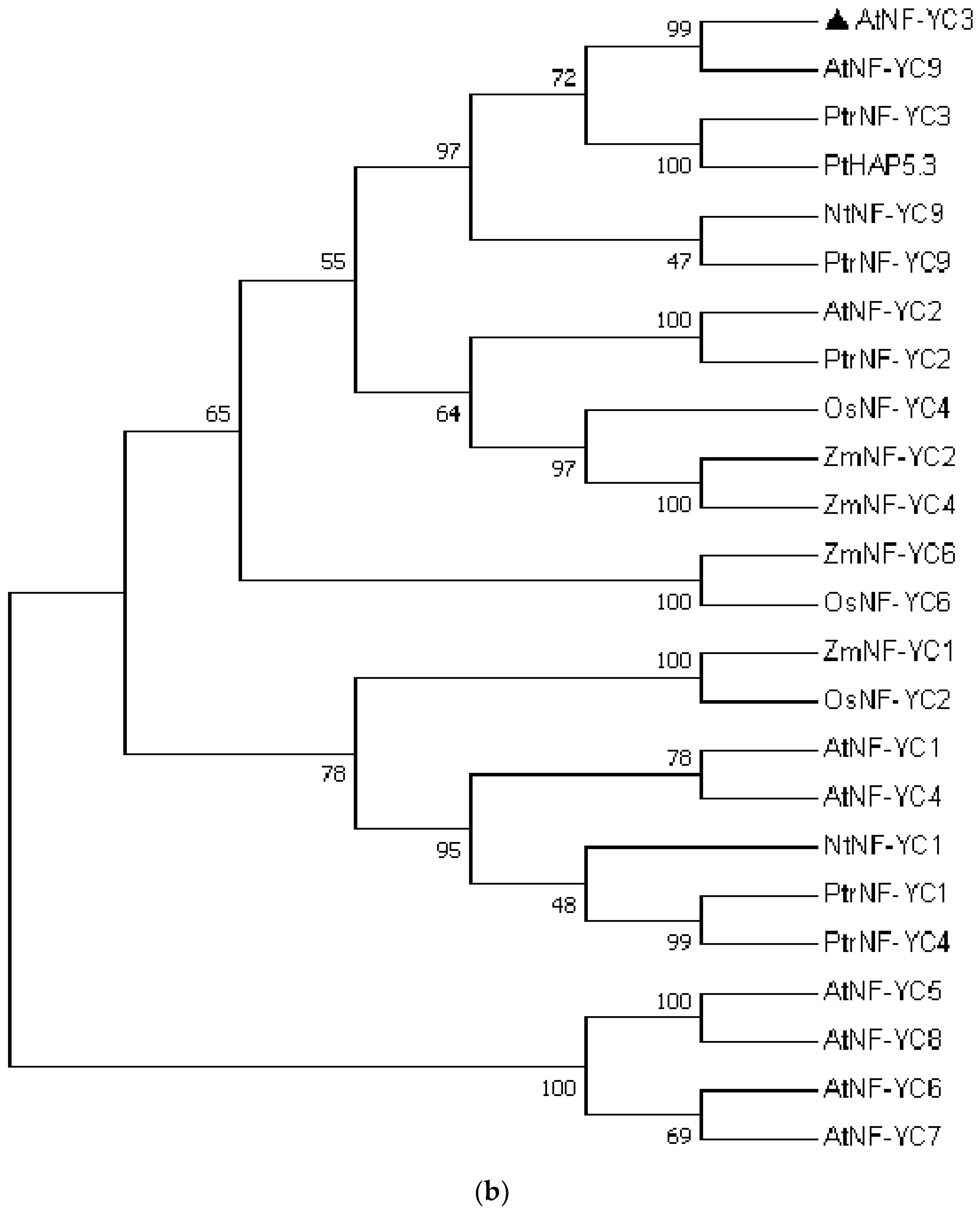 Preprints 105376 g002b