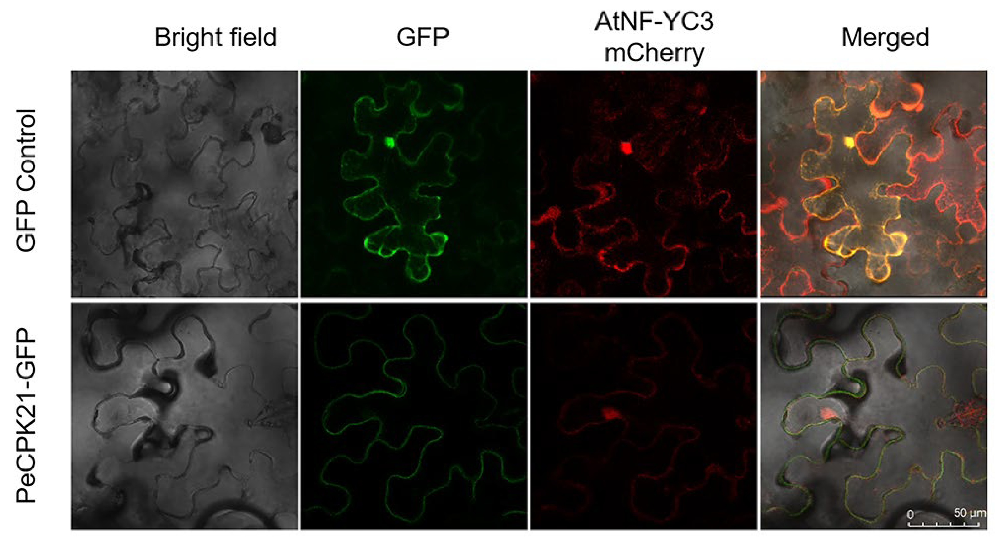 Preprints 105376 g003