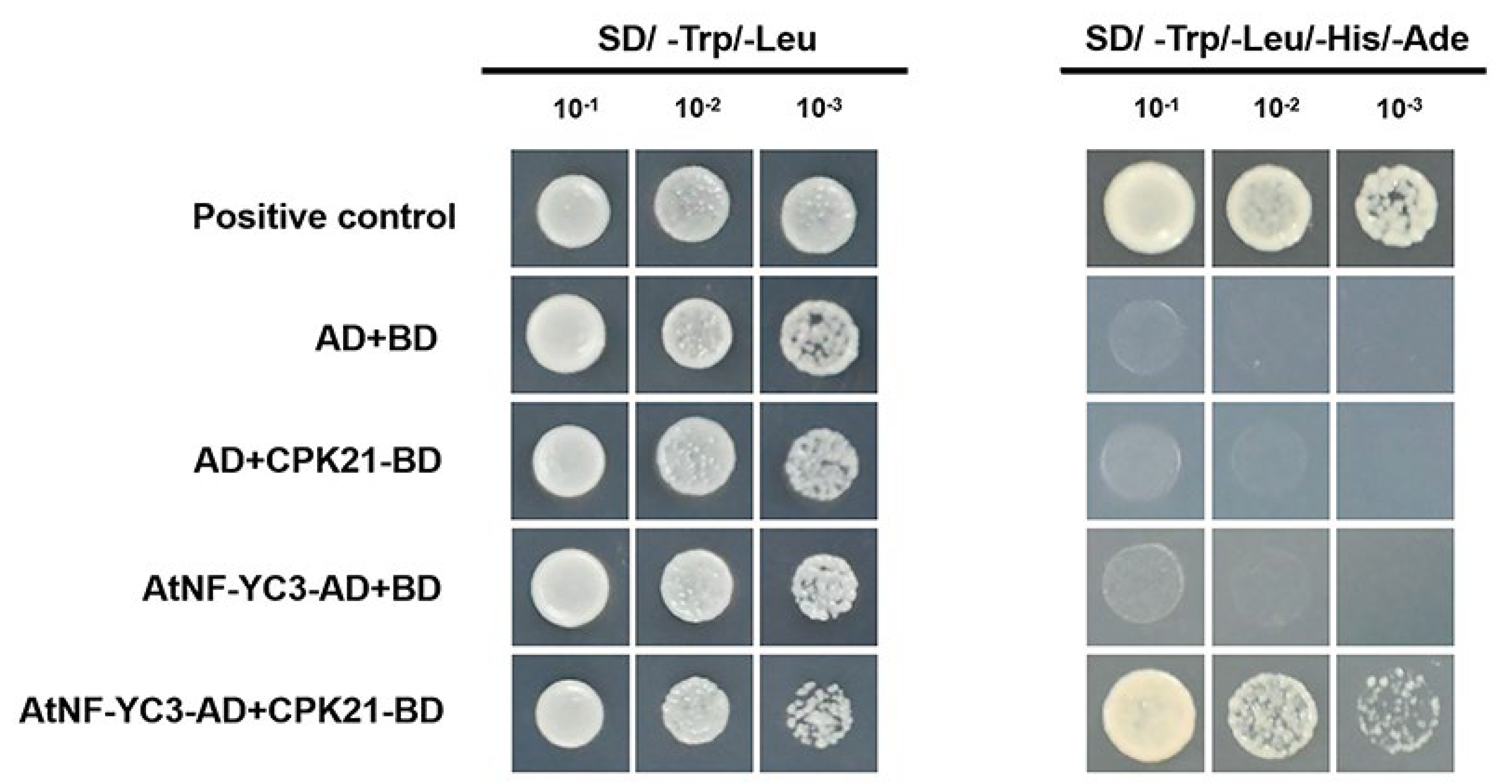 Preprints 105376 g005