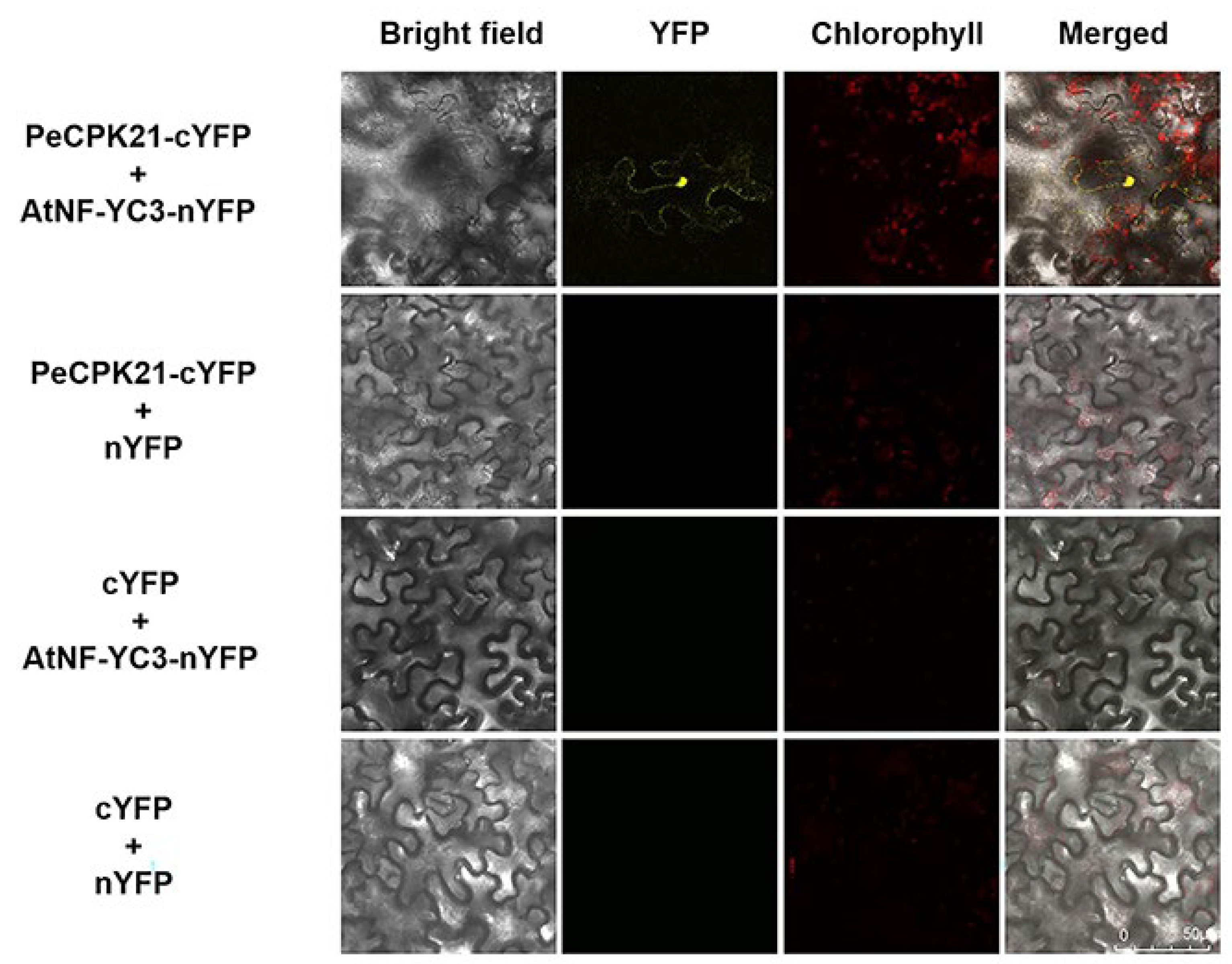 Preprints 105376 g006