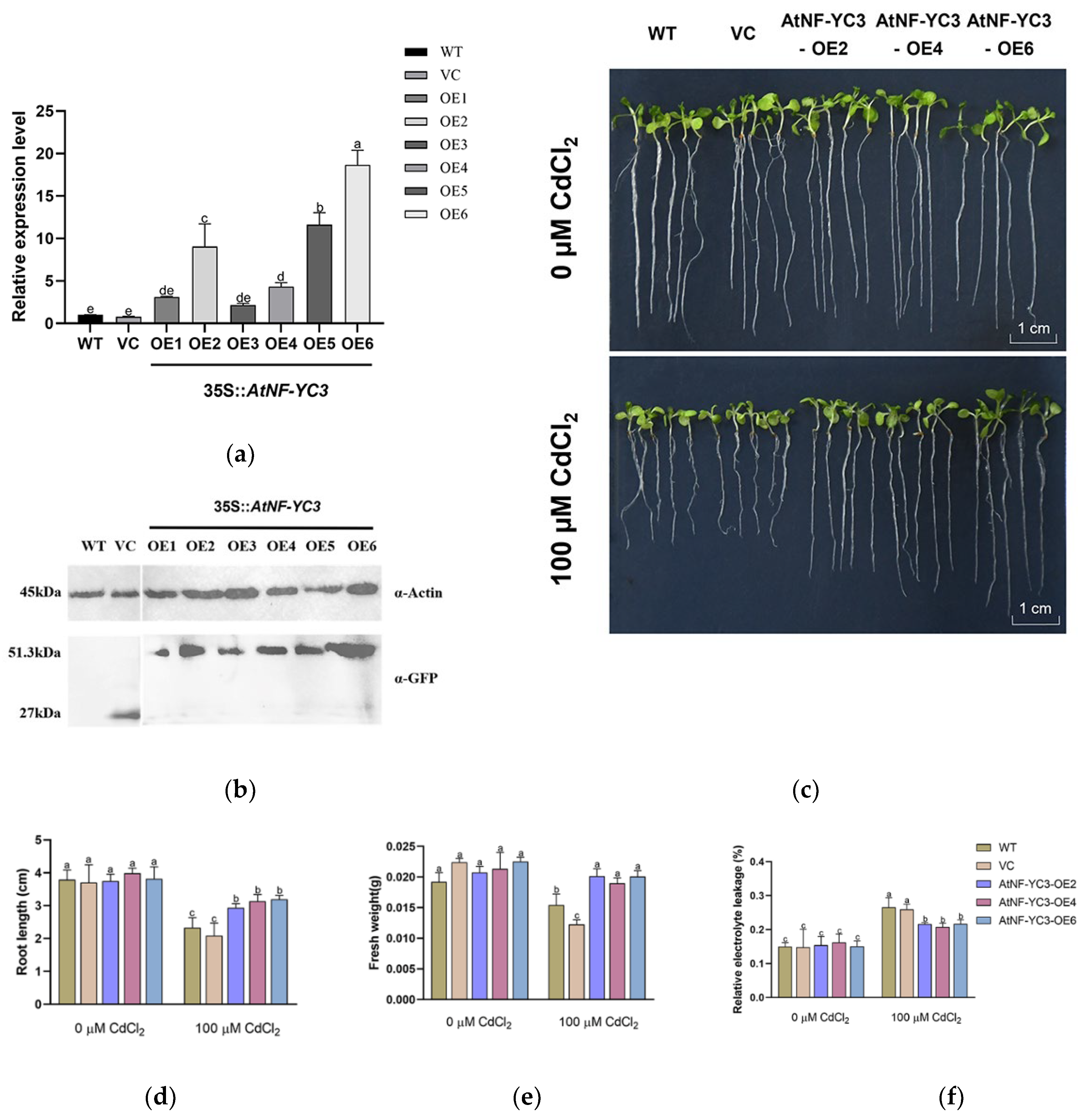 Preprints 105376 g007