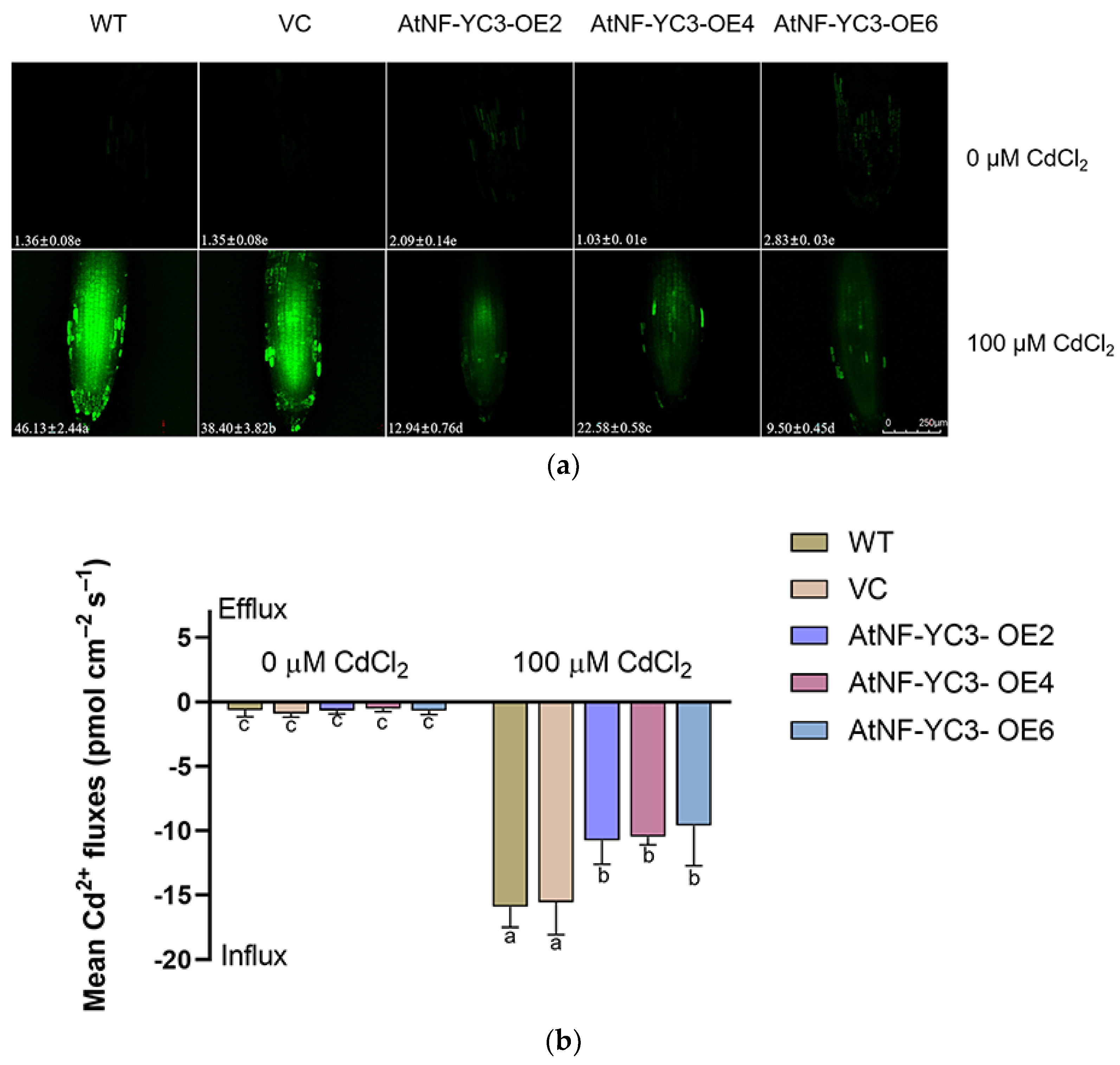 Preprints 105376 g008