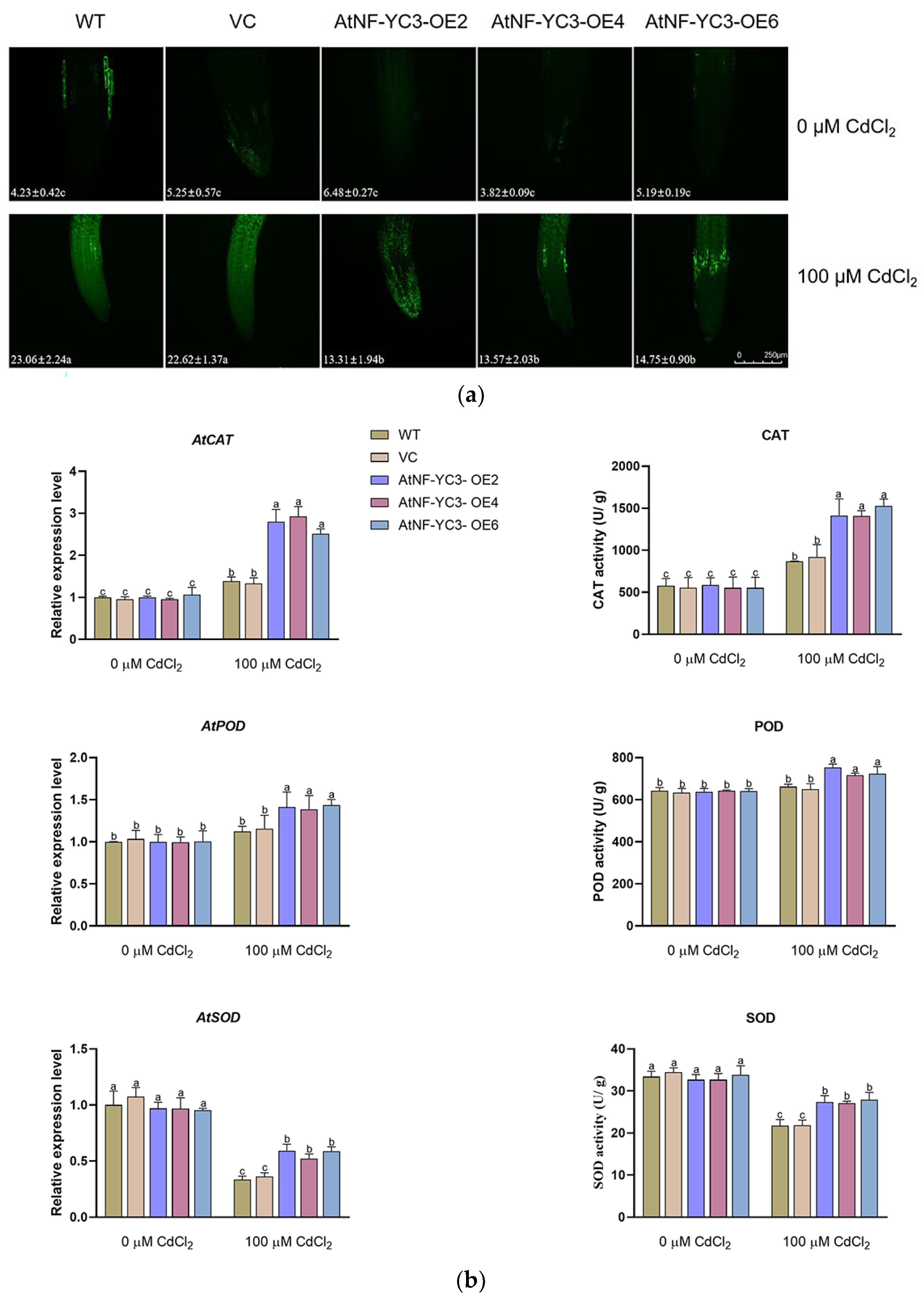 Preprints 105376 g009