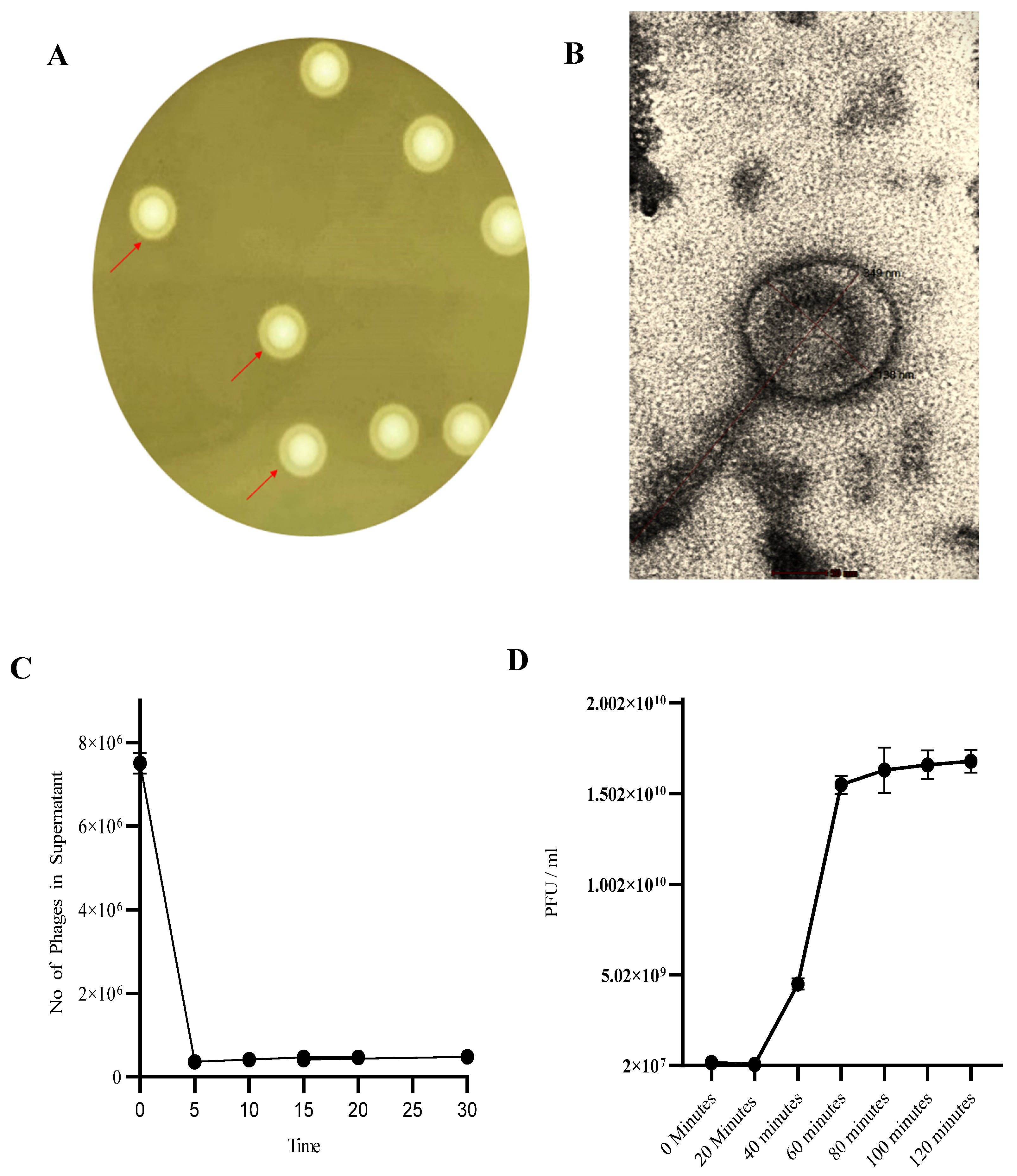 Preprints 107998 g001