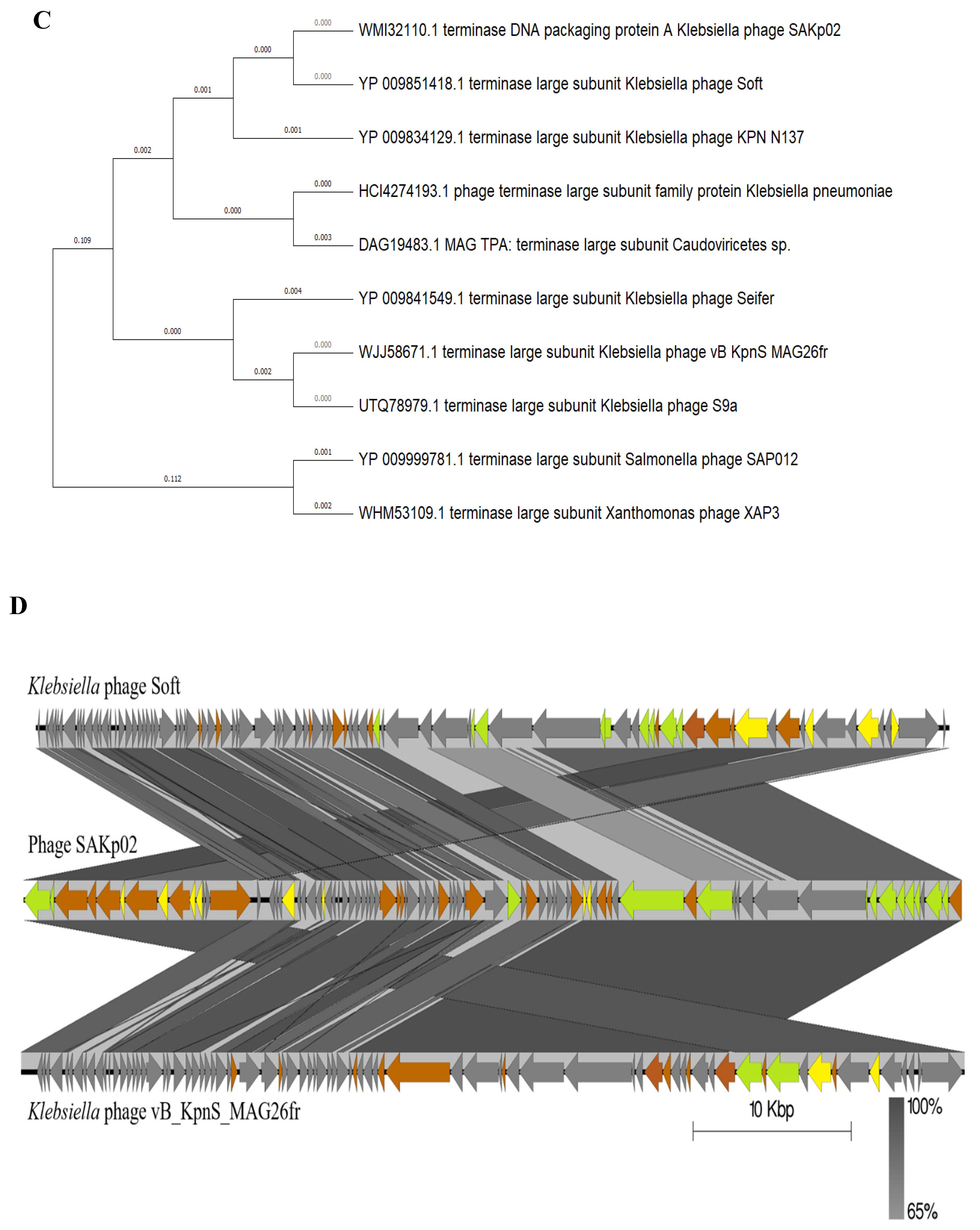 Preprints 107998 g004b