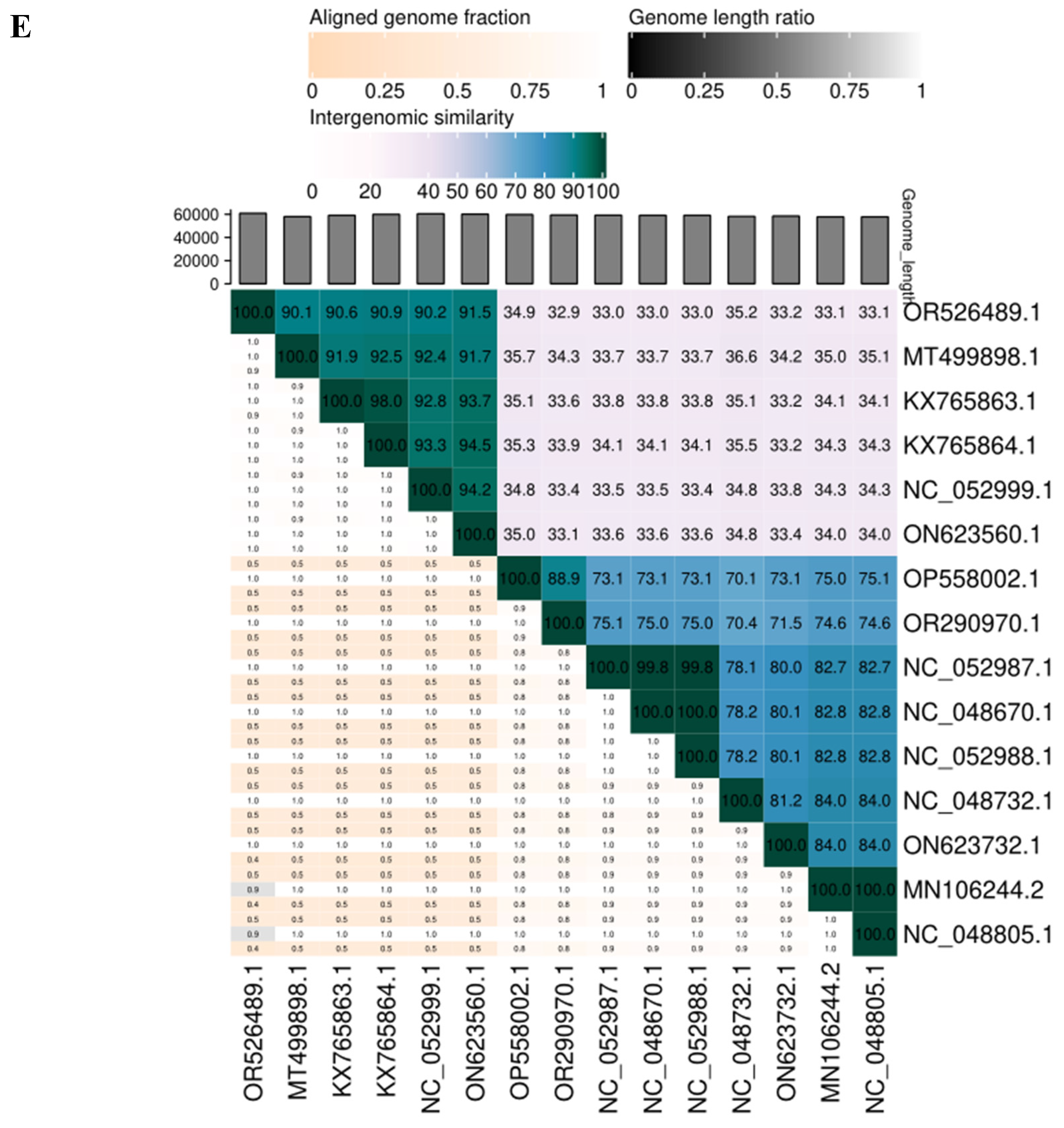 Preprints 107998 g004c