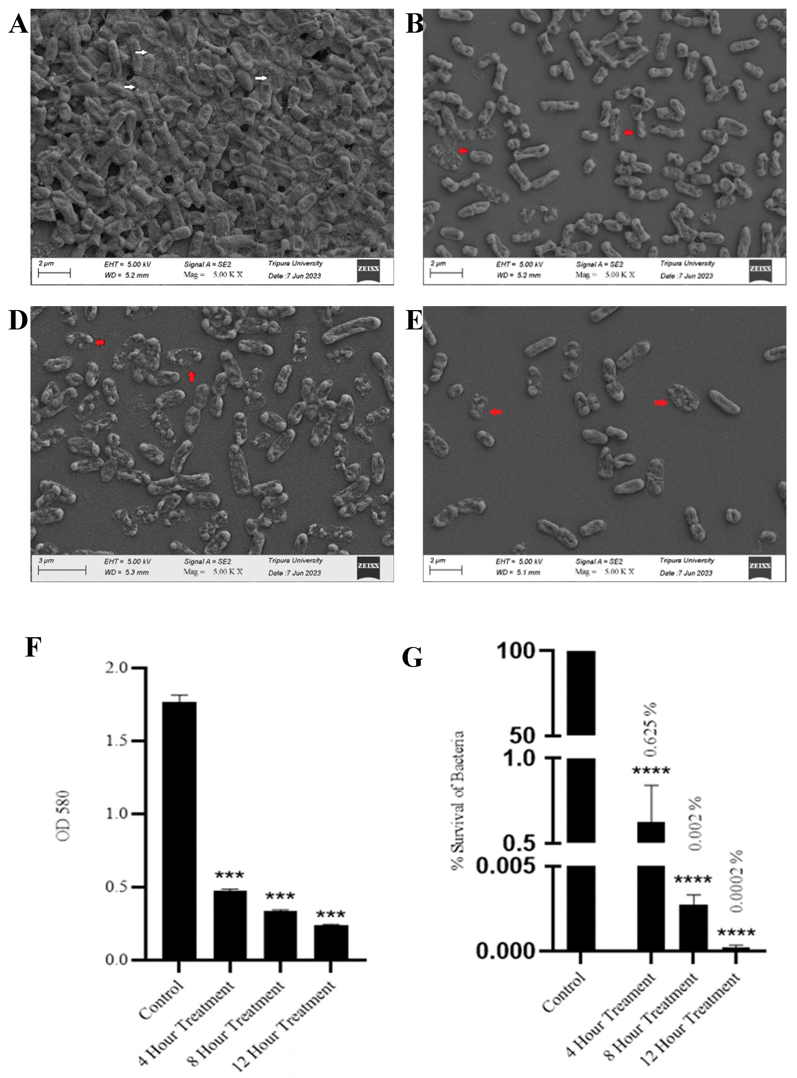 Preprints 107998 g005