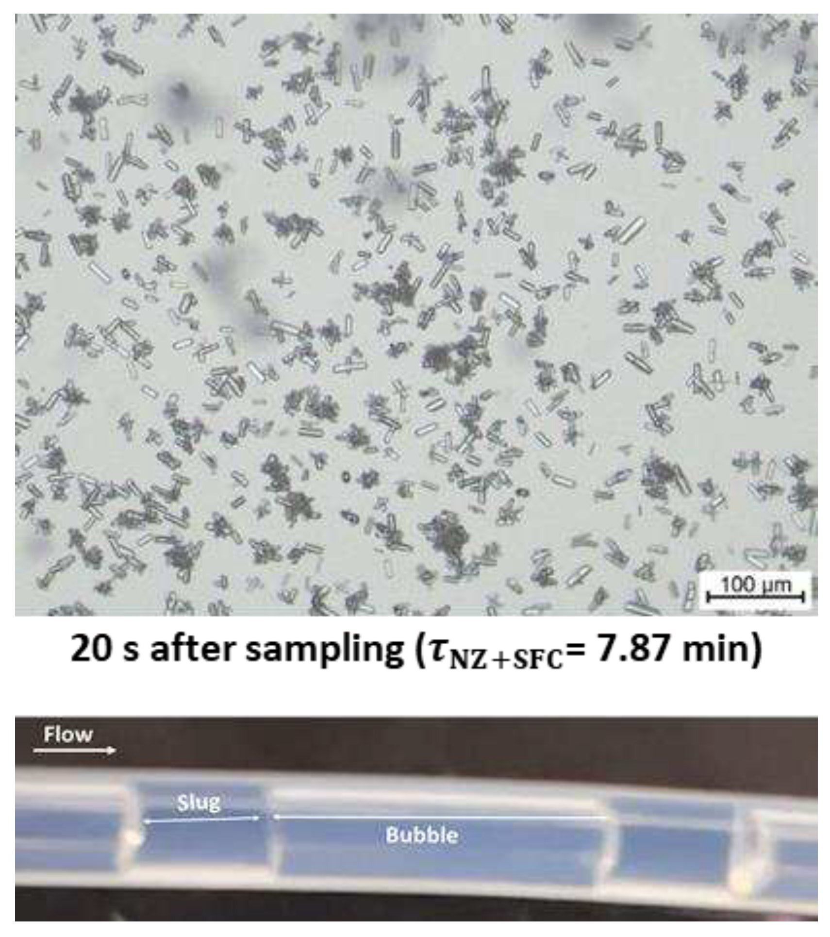 Preprints 90781 g011