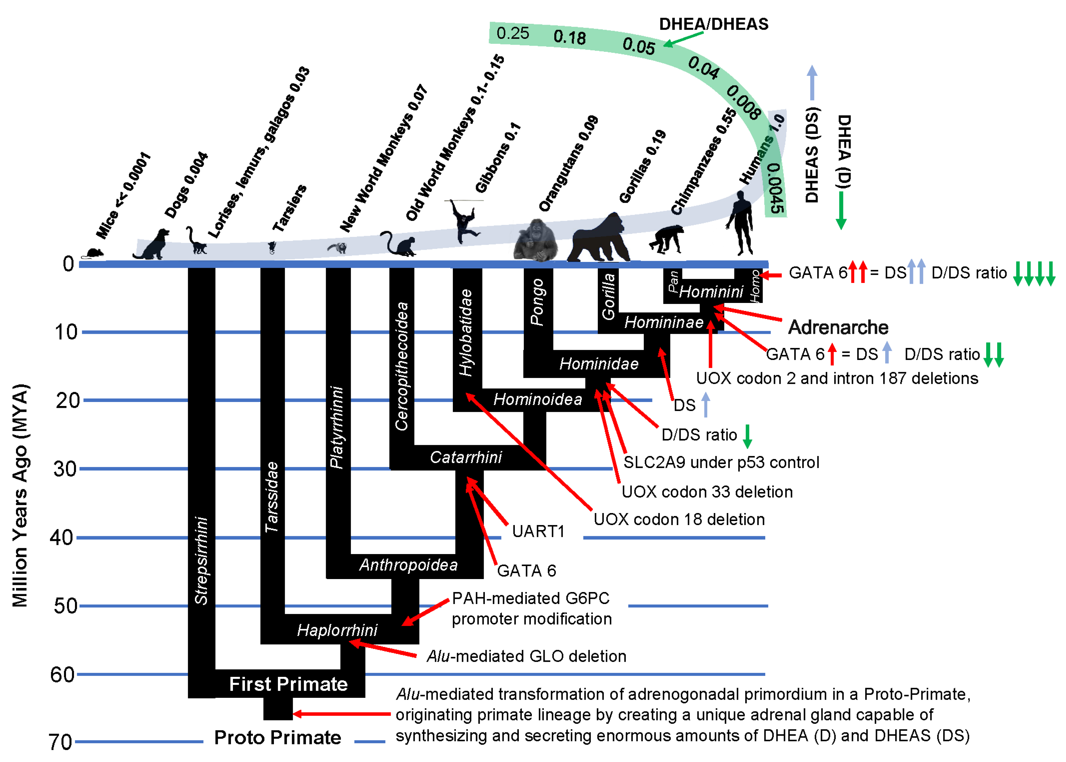 Preprints 70945 g005