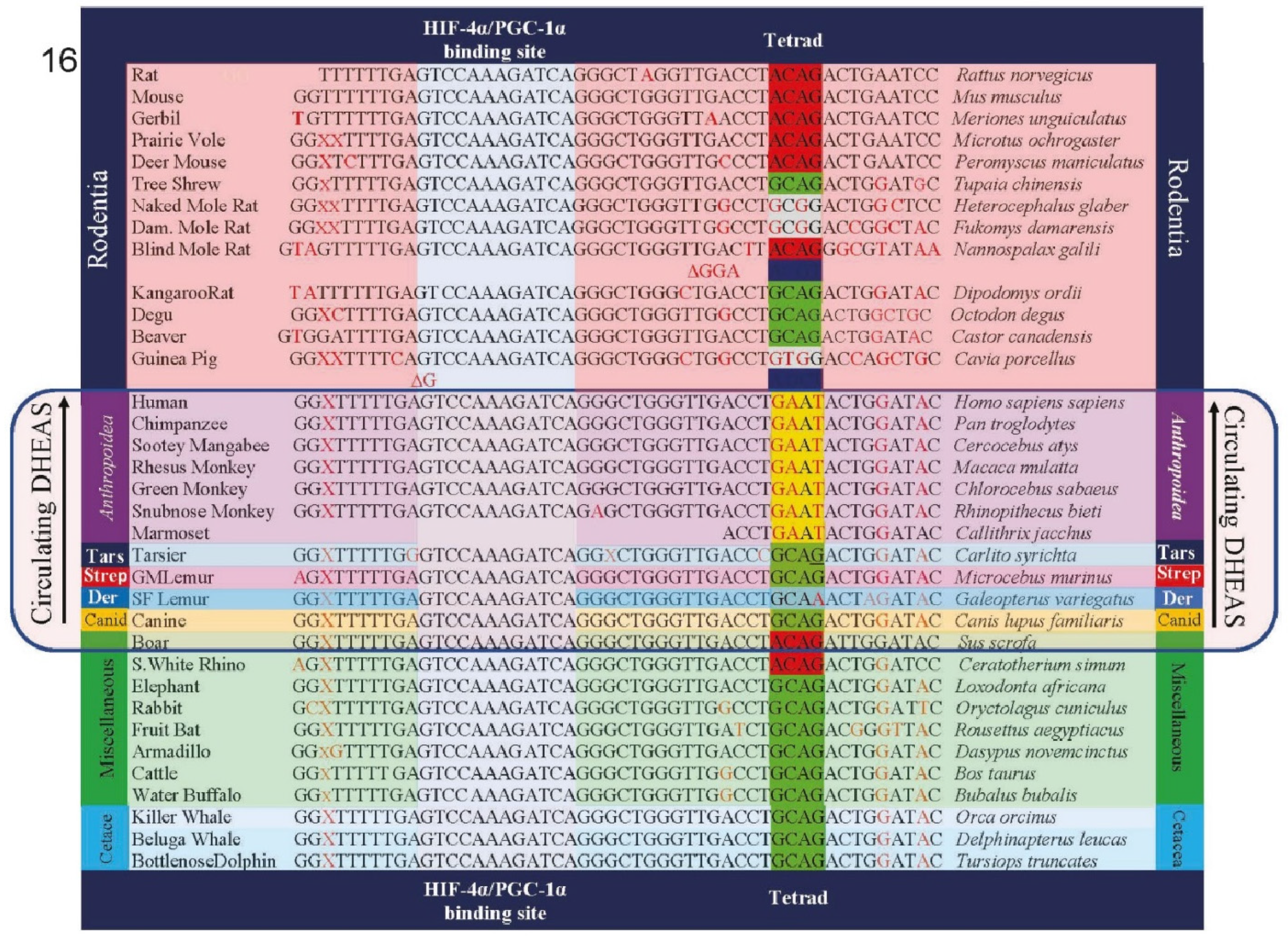 Preprints 70945 g006