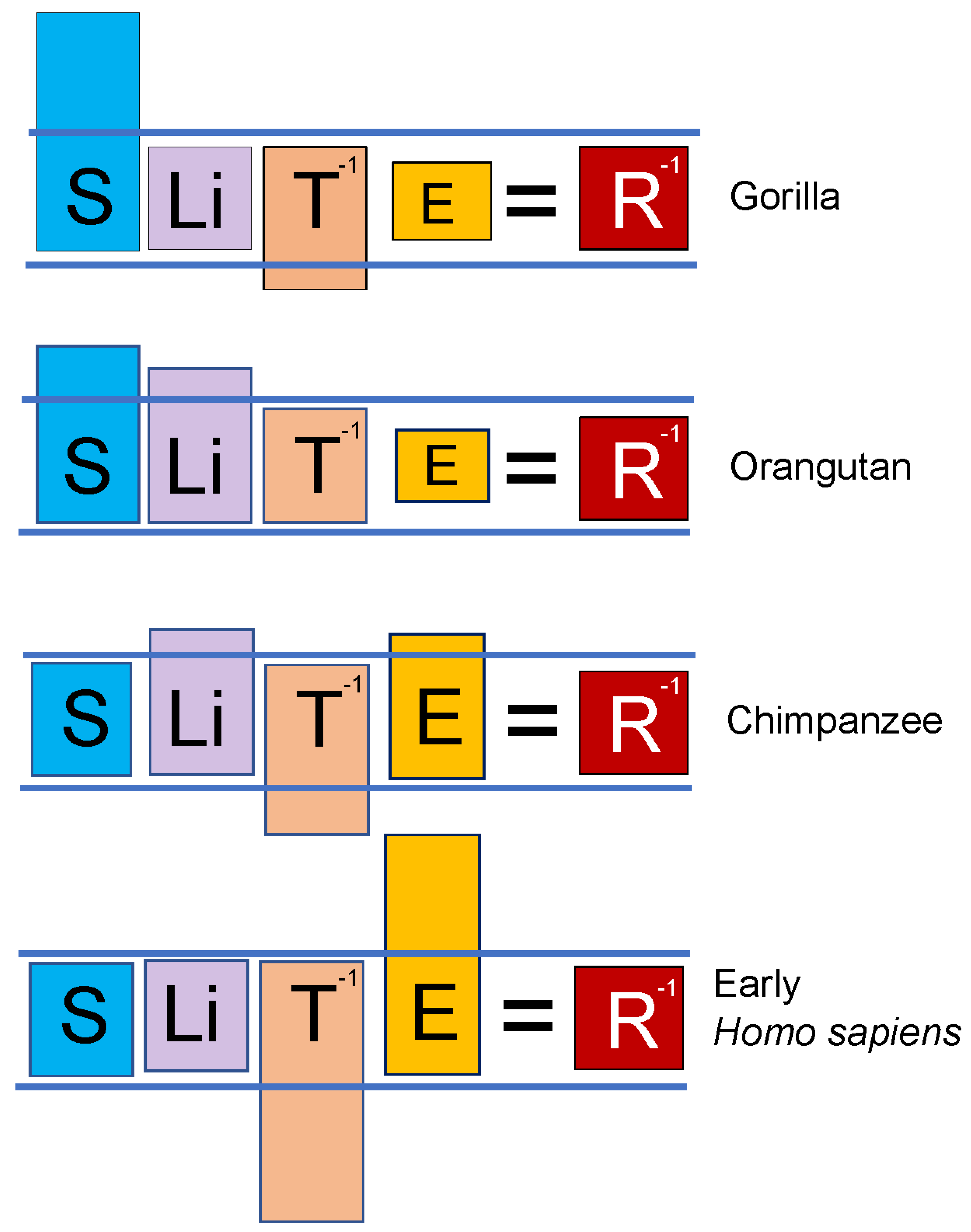 Preprints 70945 g007