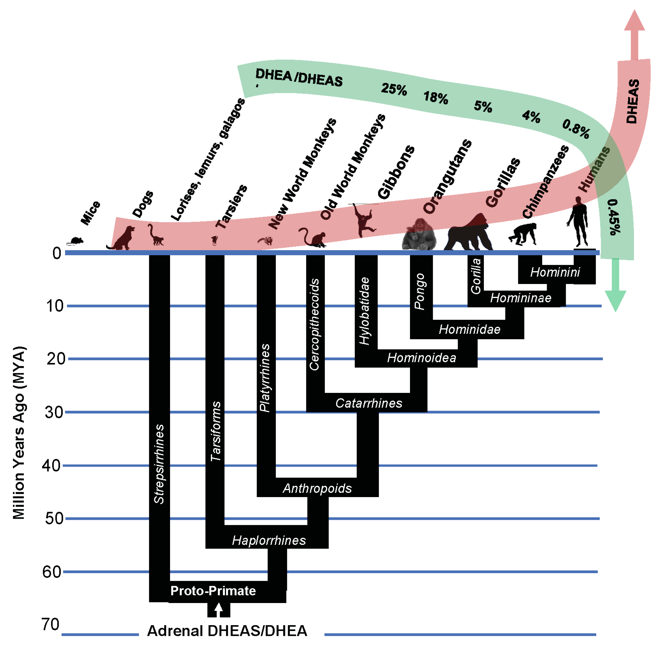 Preprints 70945 g011