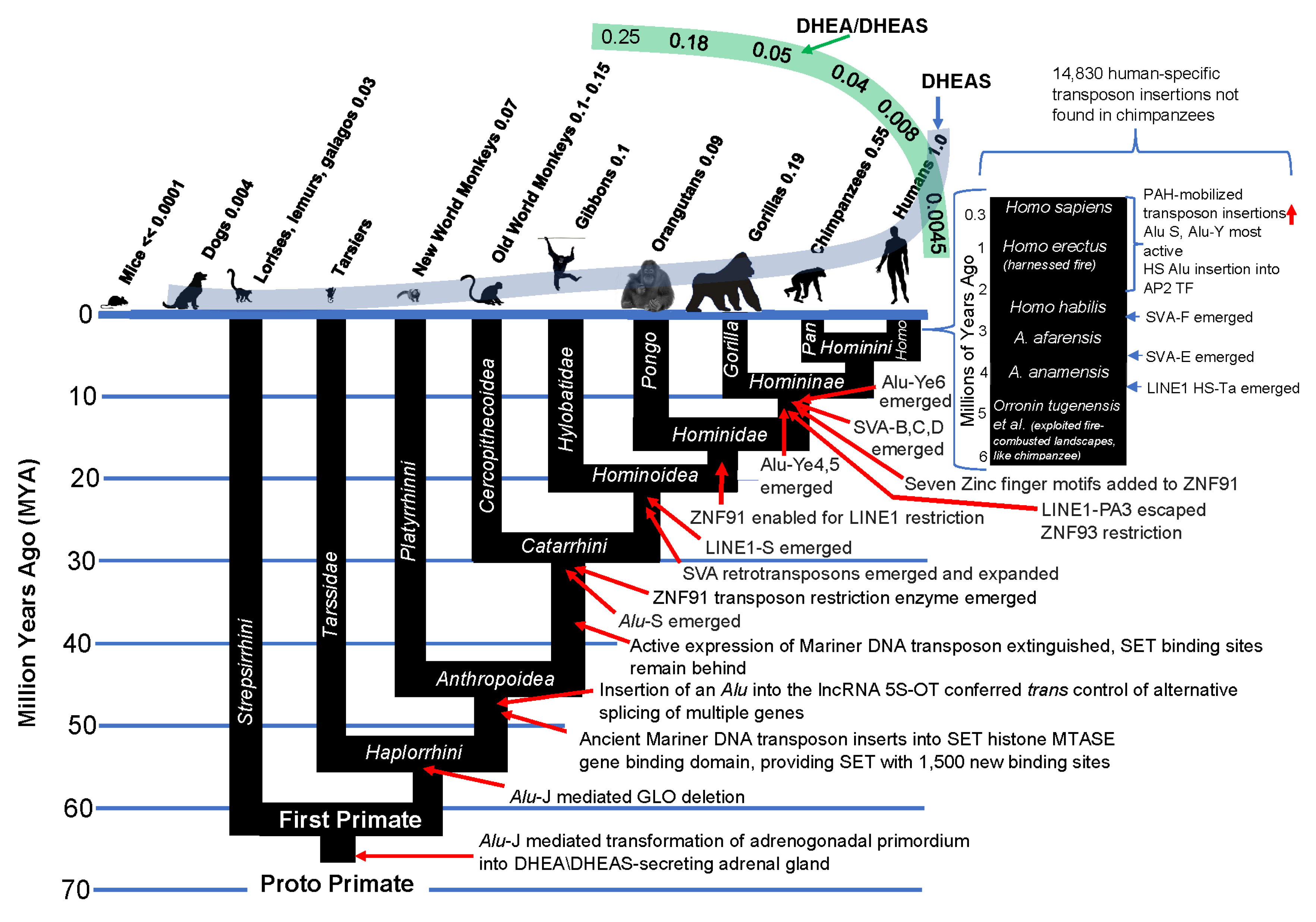 Preprints 70945 g012