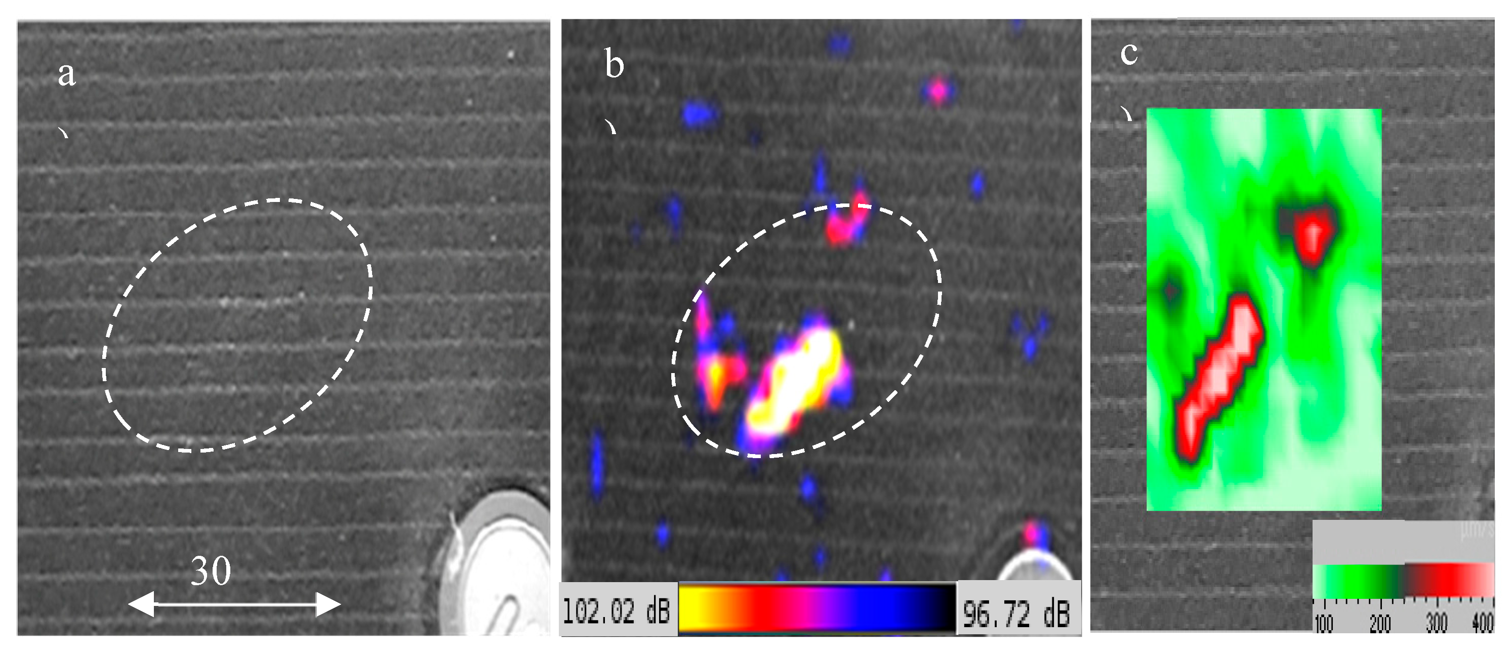 Preprints 114290 g054