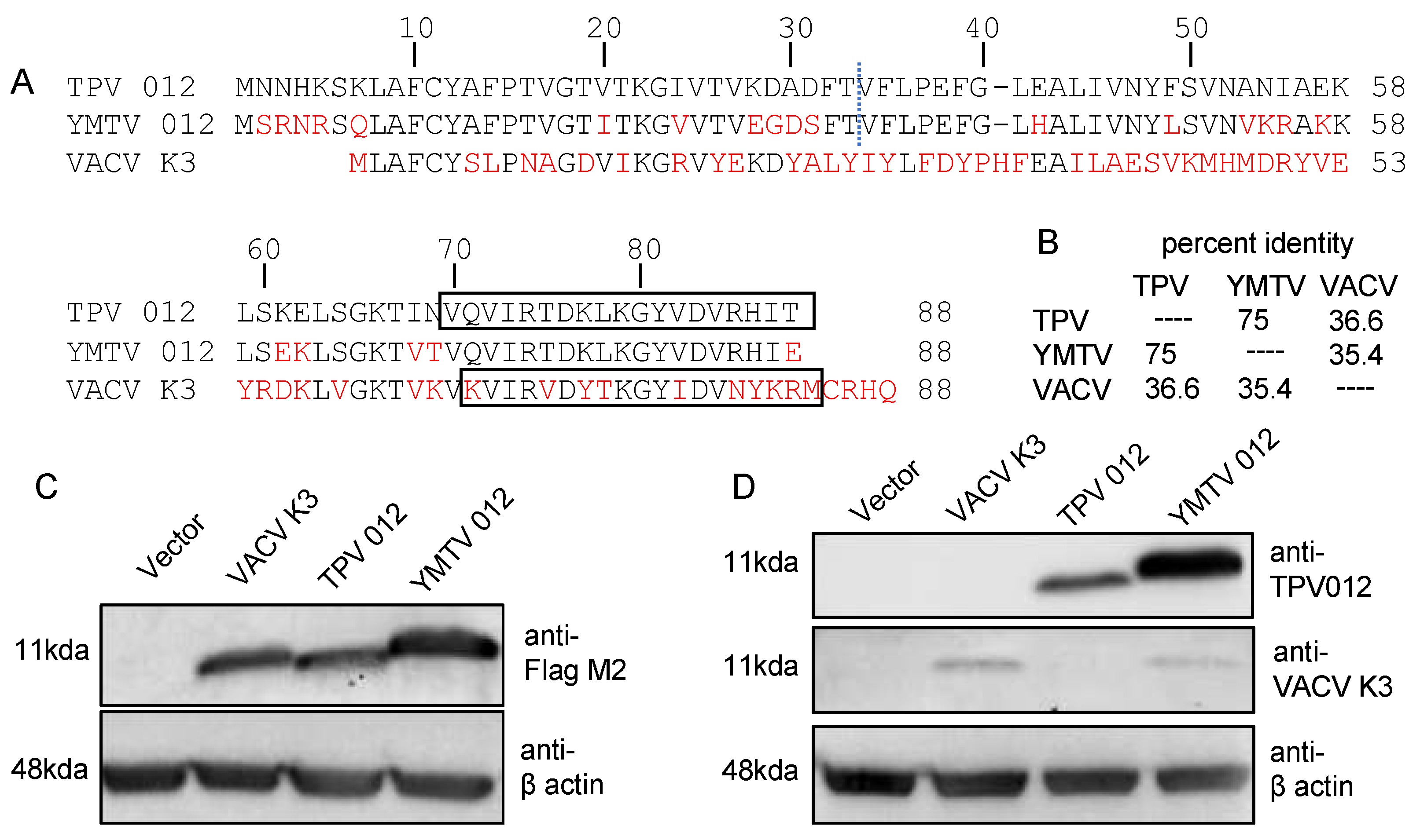 Preprints 108623 g001