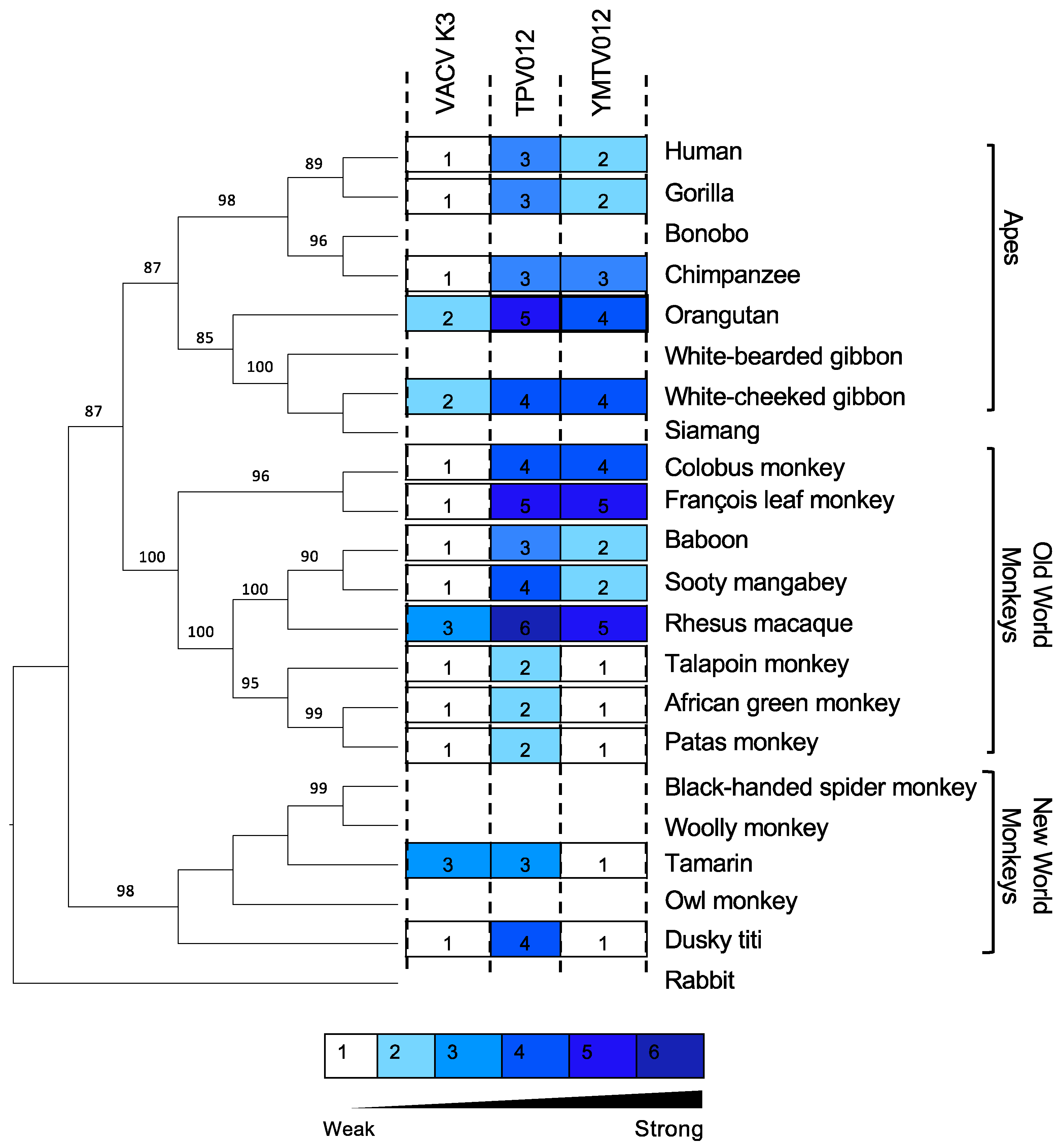 Preprints 108623 g003